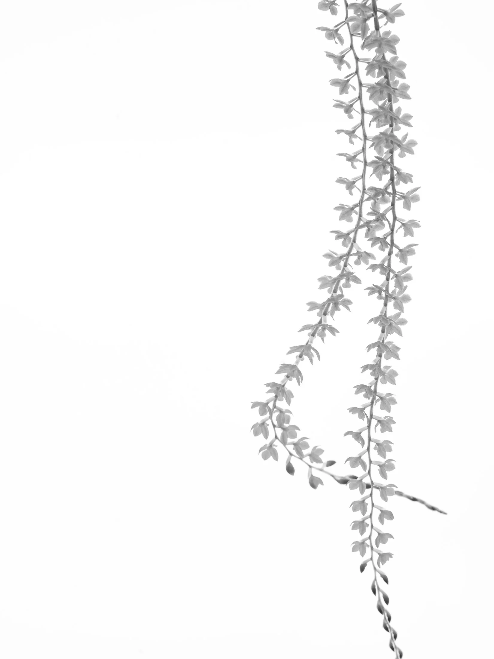 aw_DSF2724 Kopie.jpg