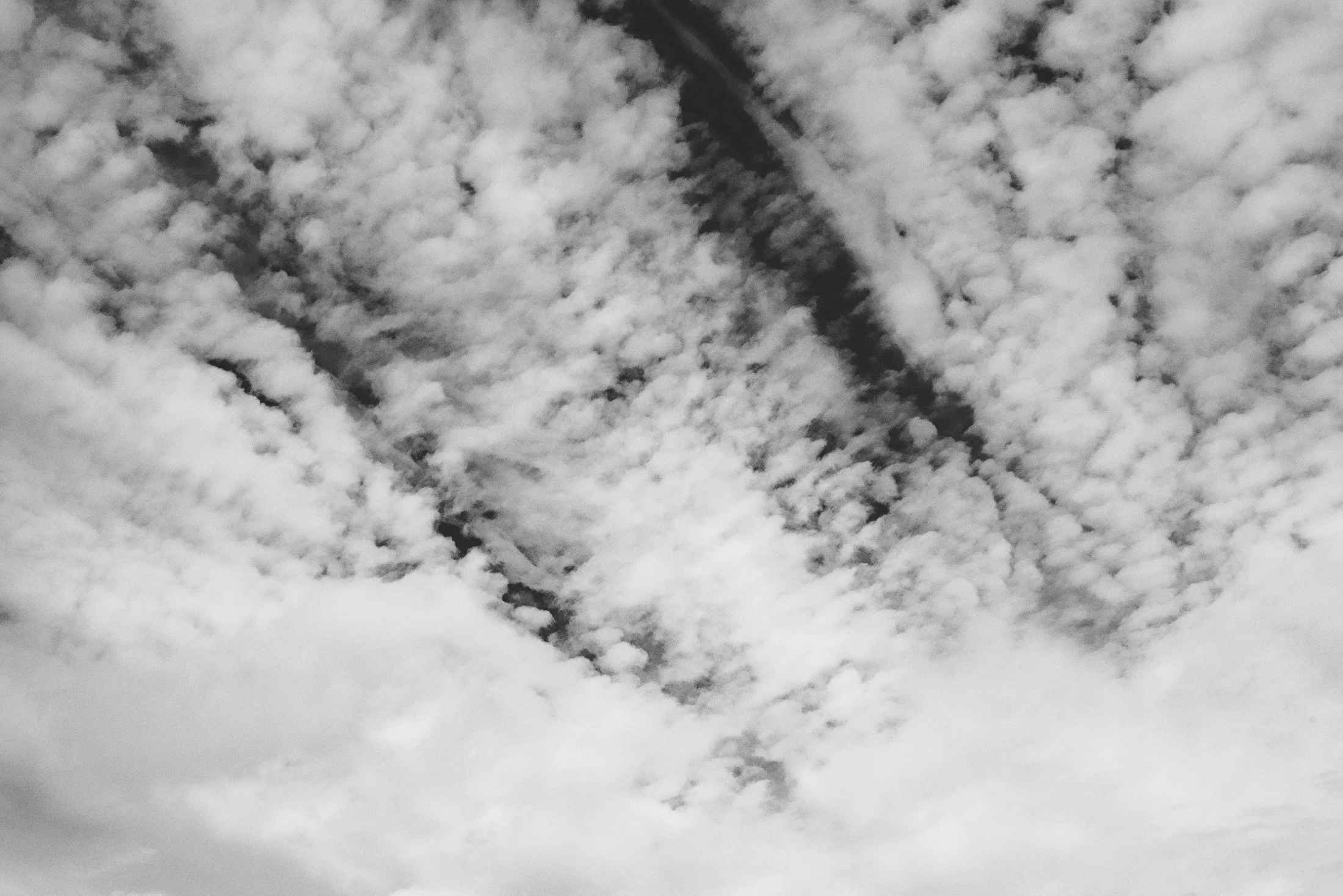 amelie_walter_dsf4724 _berlin2web.jpg