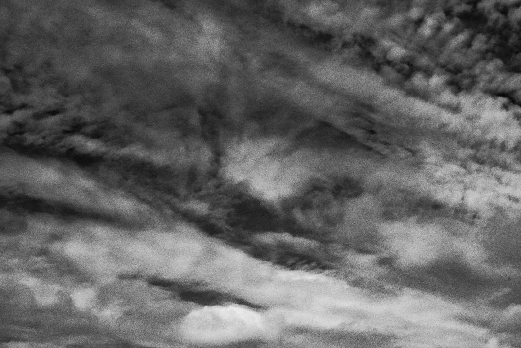 amelie_walter_dsf4725 _berlin3web.jpg