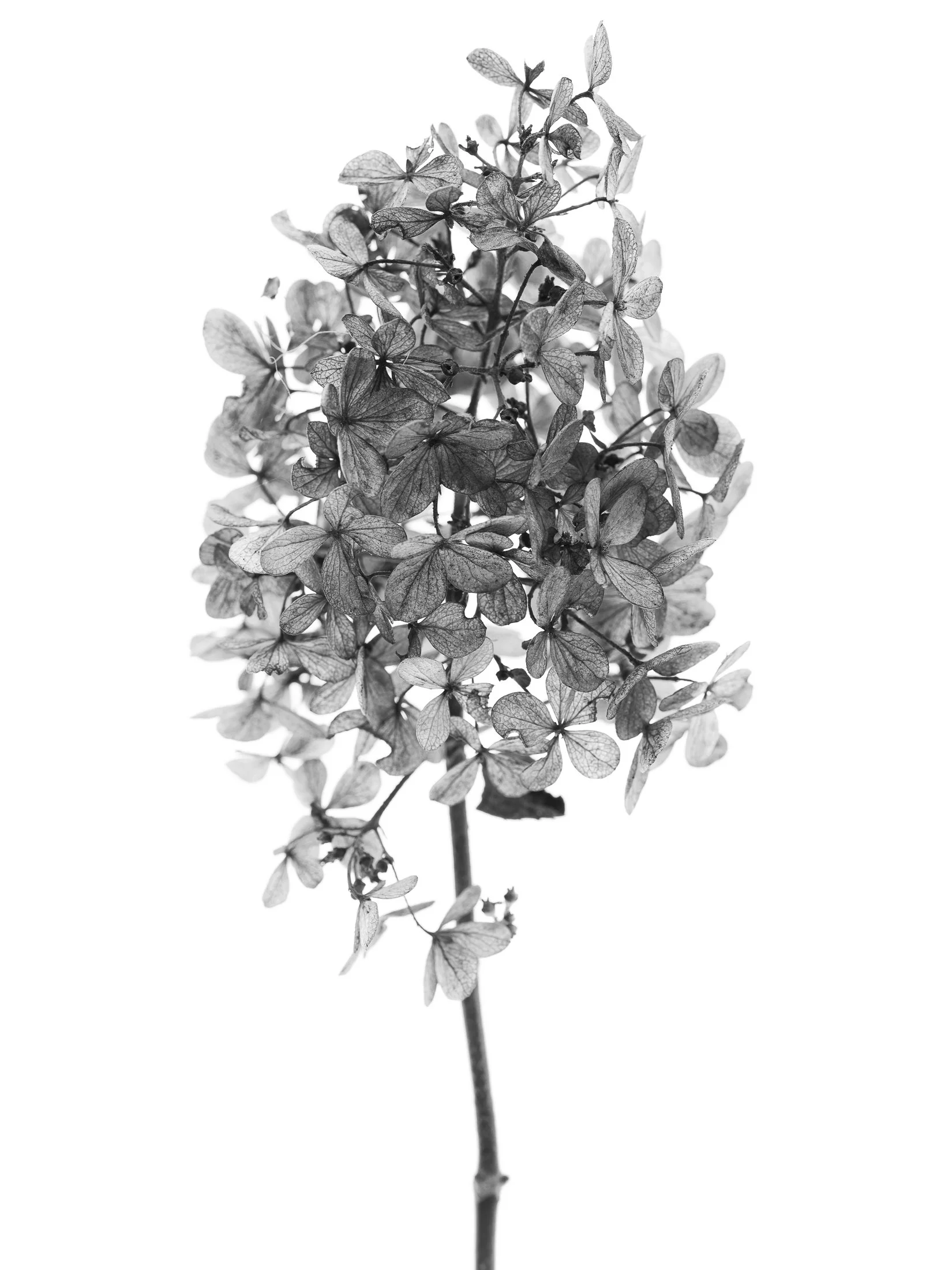 aw_DSF3172 Kopie9.jpg