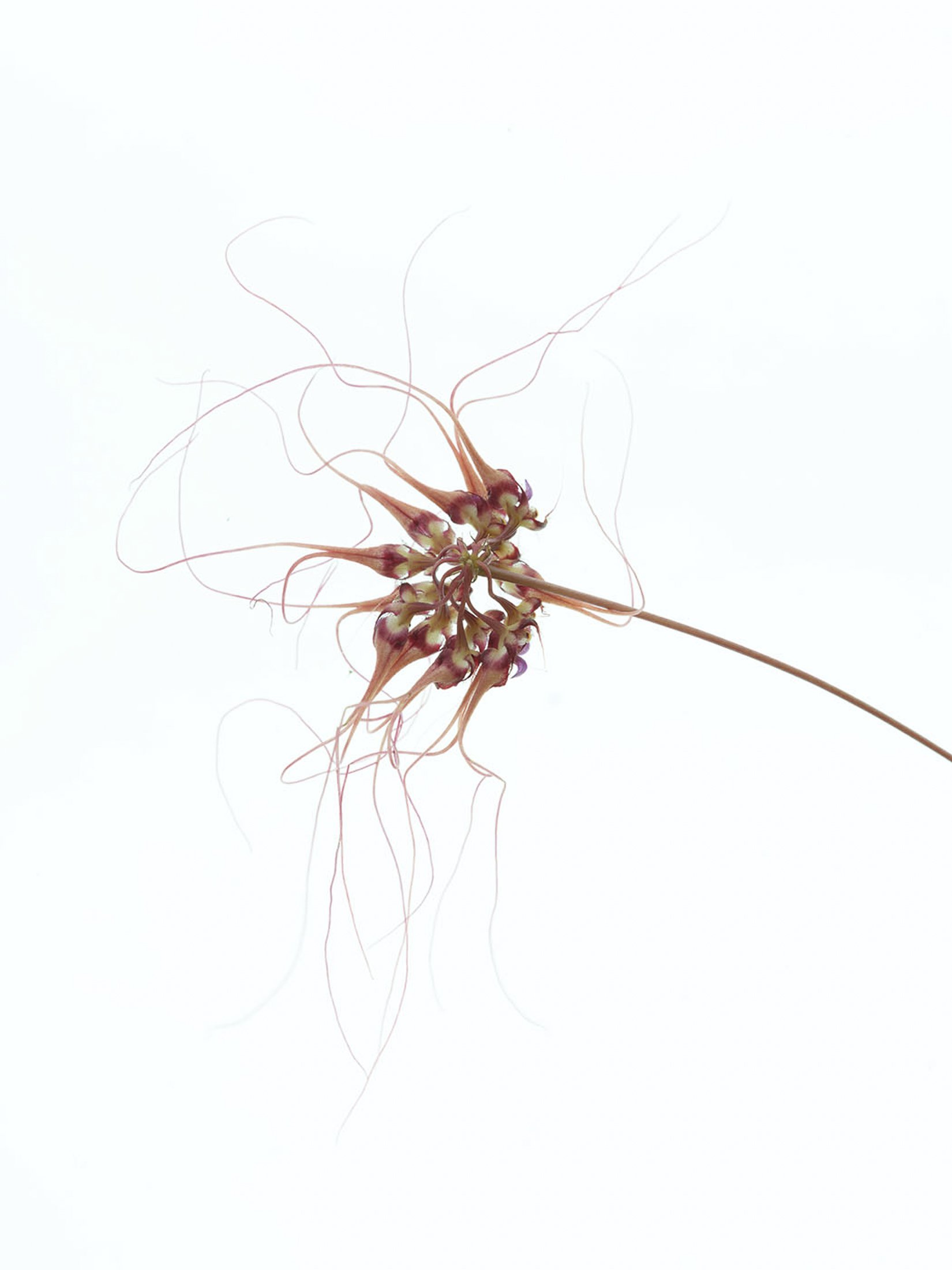 aw_DSF2294 Kopie.jpg