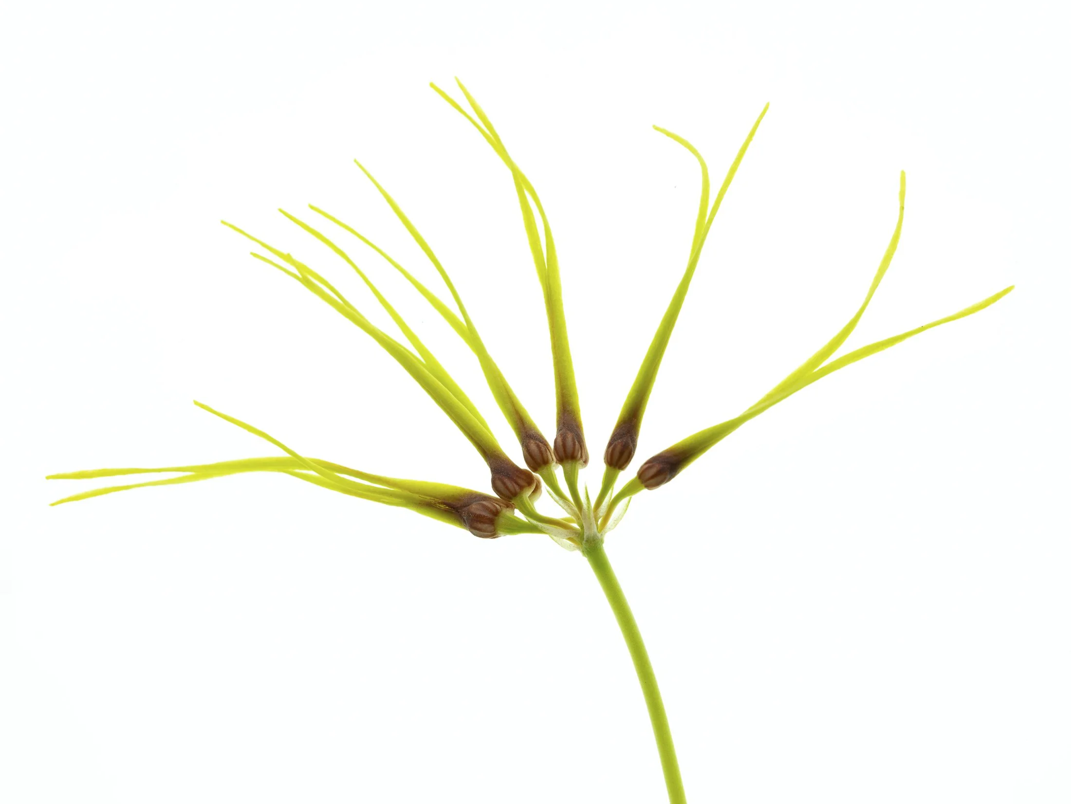 aw_DSF2276 Kopie.jpg