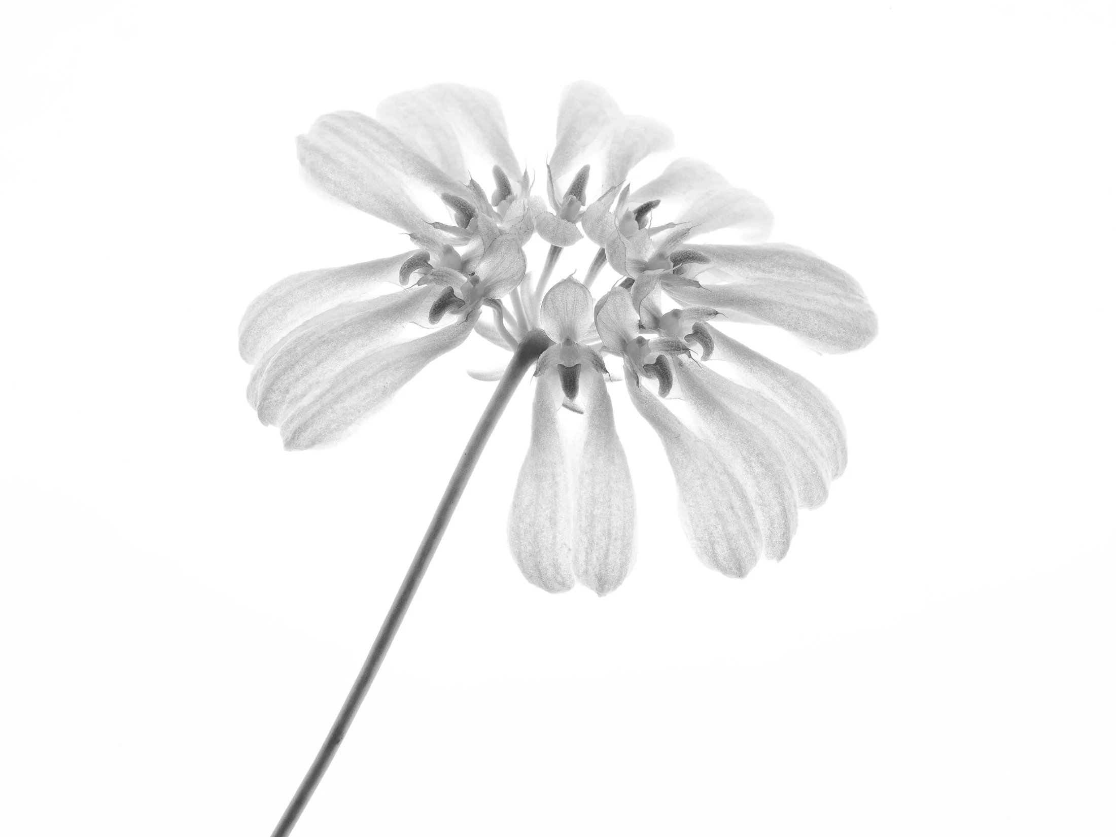 aw_DSF2333 Kopiesw.jpg