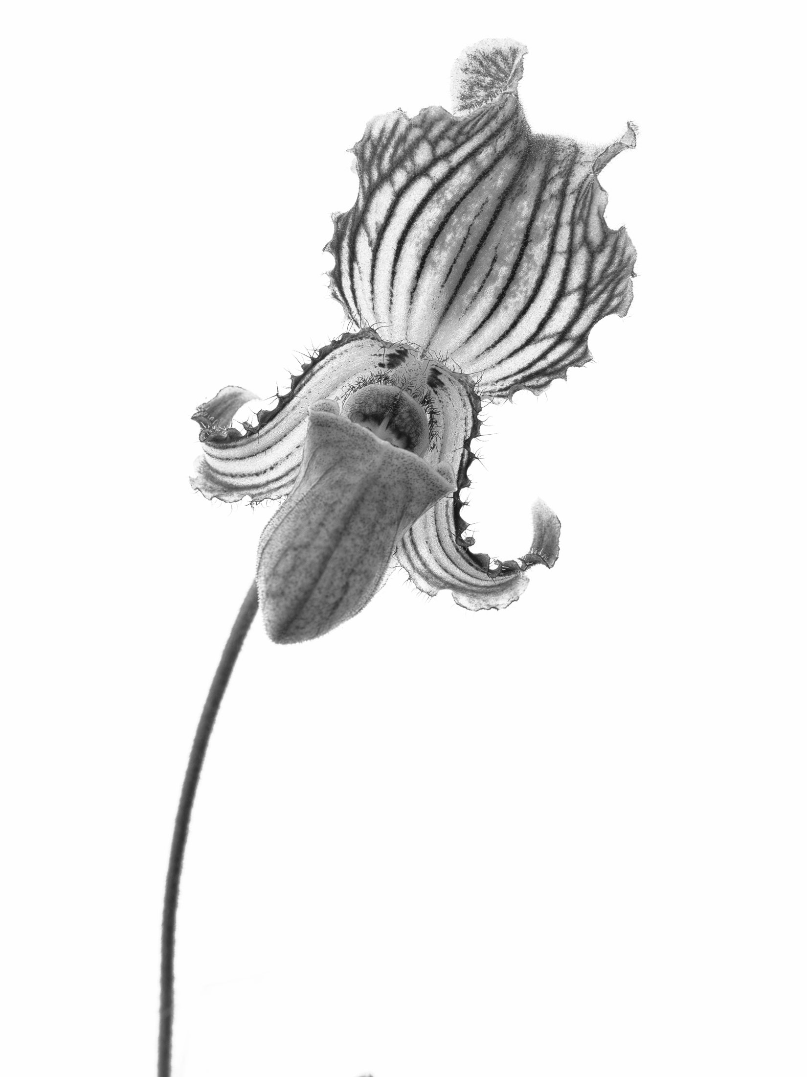 aw_DSF2325 Kopie.jpg