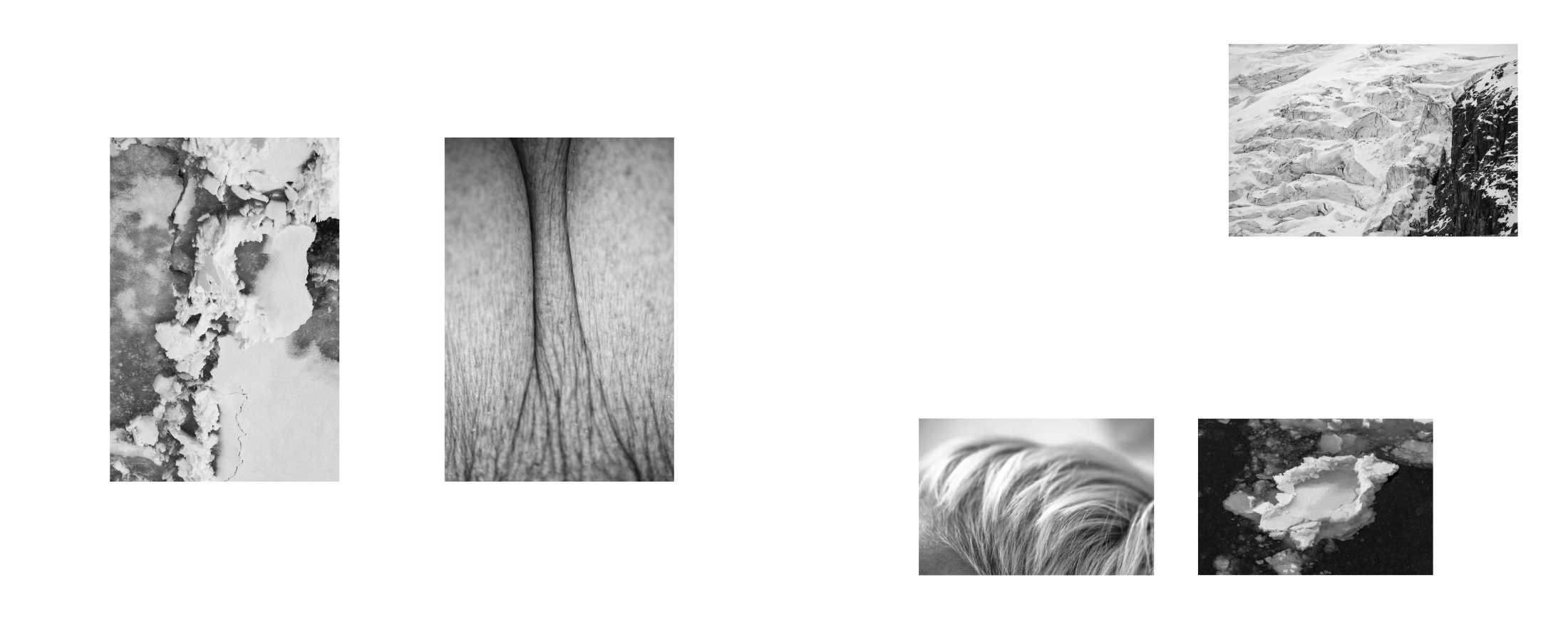 Fotohof Prints-5.png