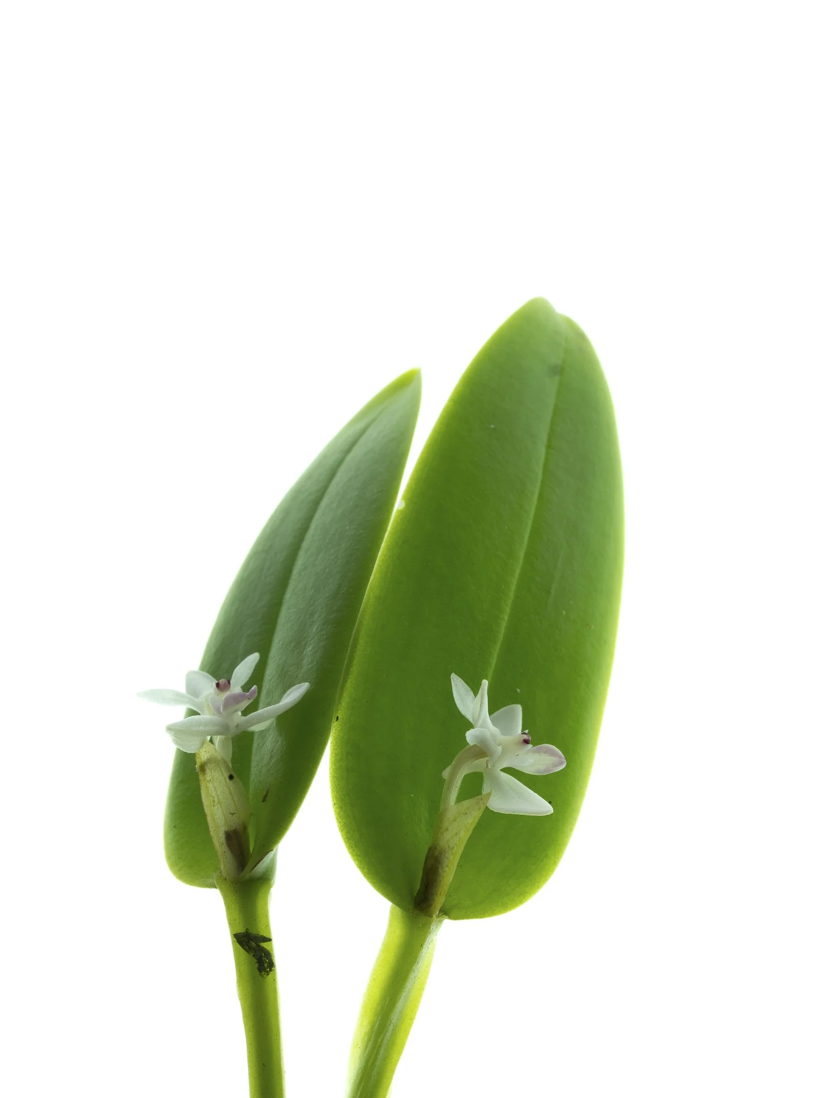 aw_DSF2335_1 Kopie.jpg