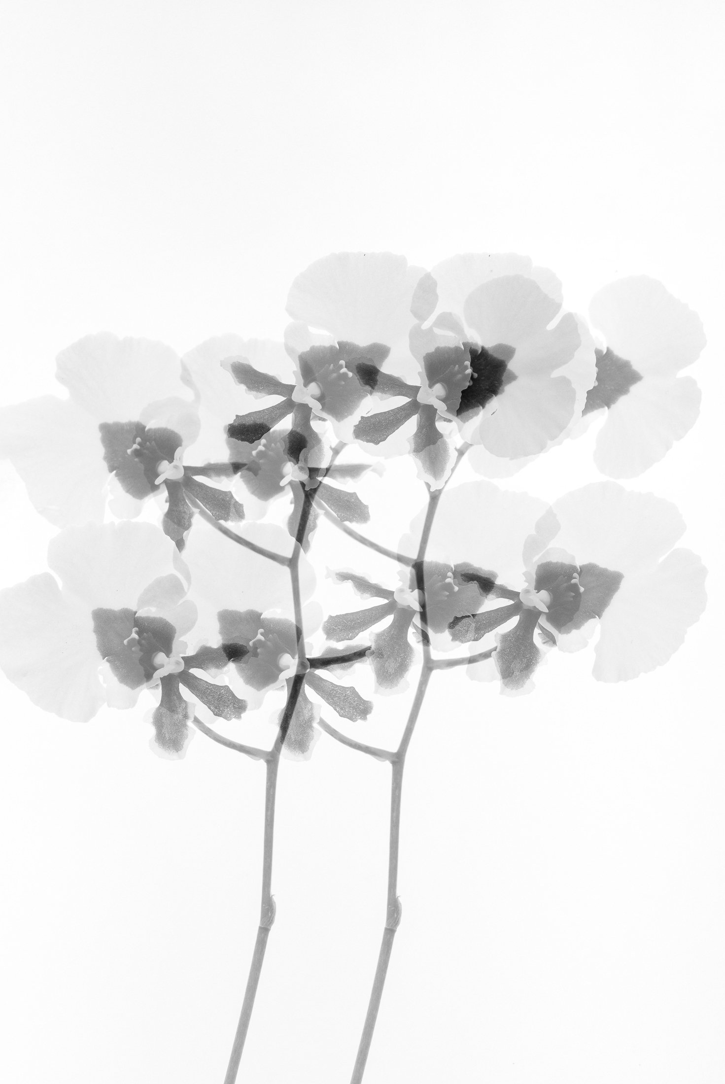 aw_DSF3315 Kopie.jpg