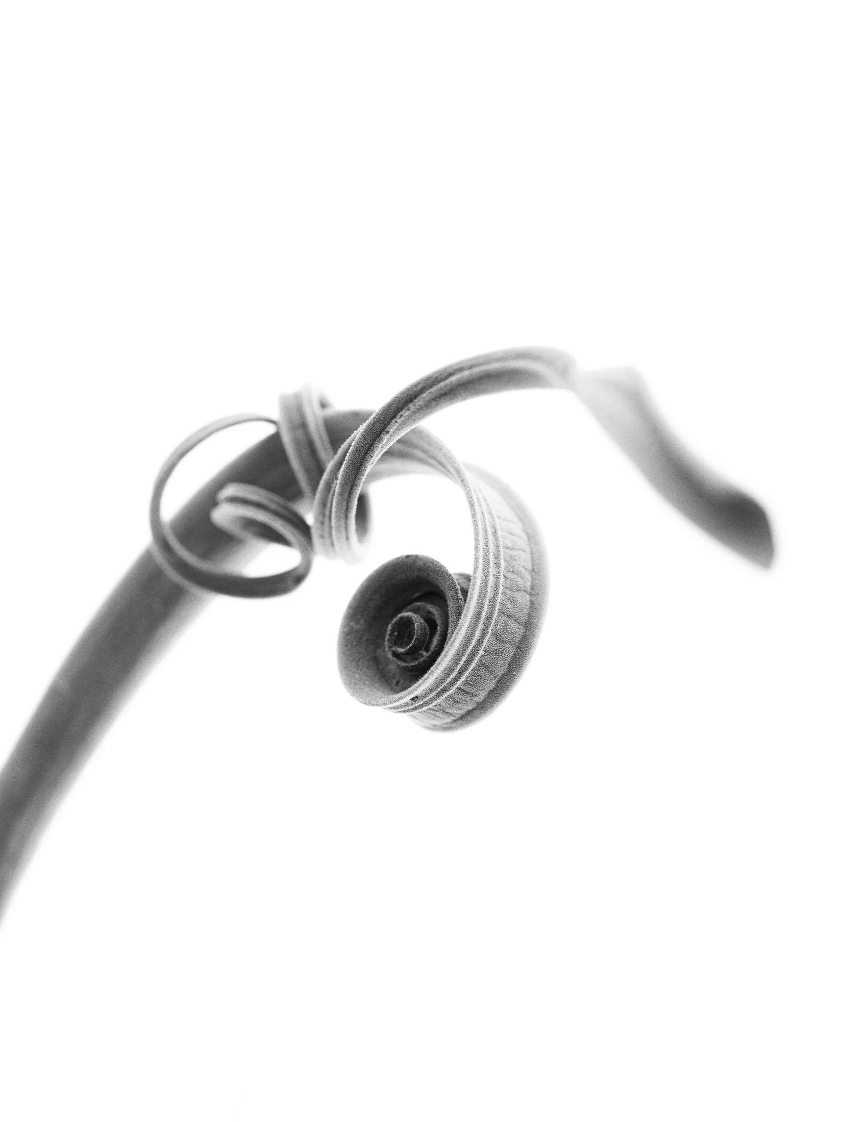 aw_DSF3181 Kopie3.jpg