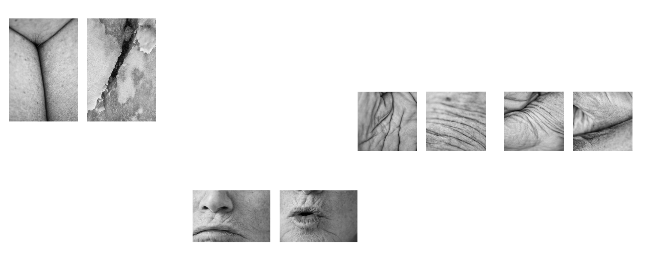 Fotohof Prints-3.png