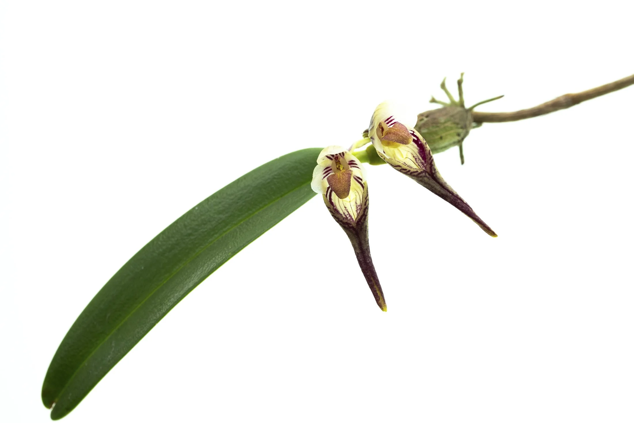 aw_DSF3339 Kopie.jpg