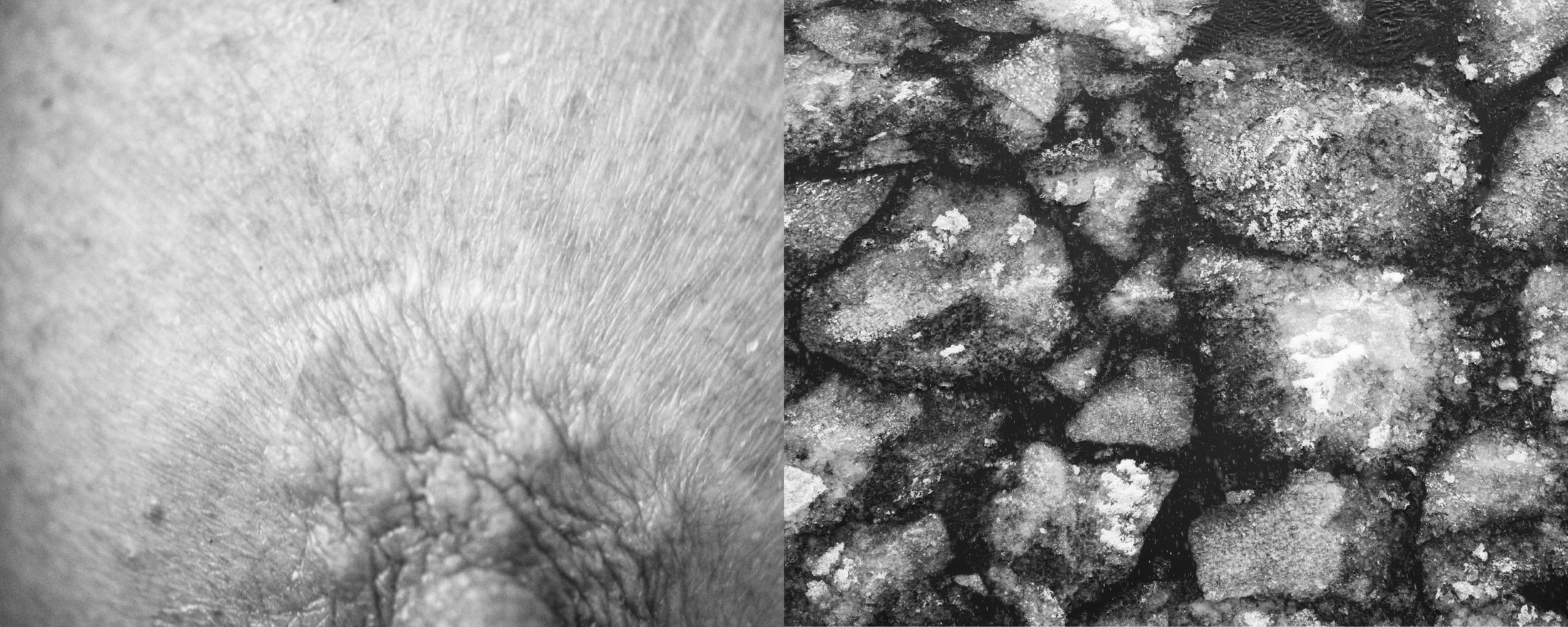 Fotohof Prints-4.png