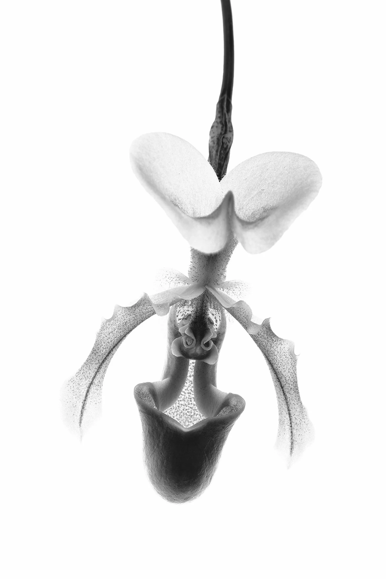 aw_DSF2326 Kopie.jpg