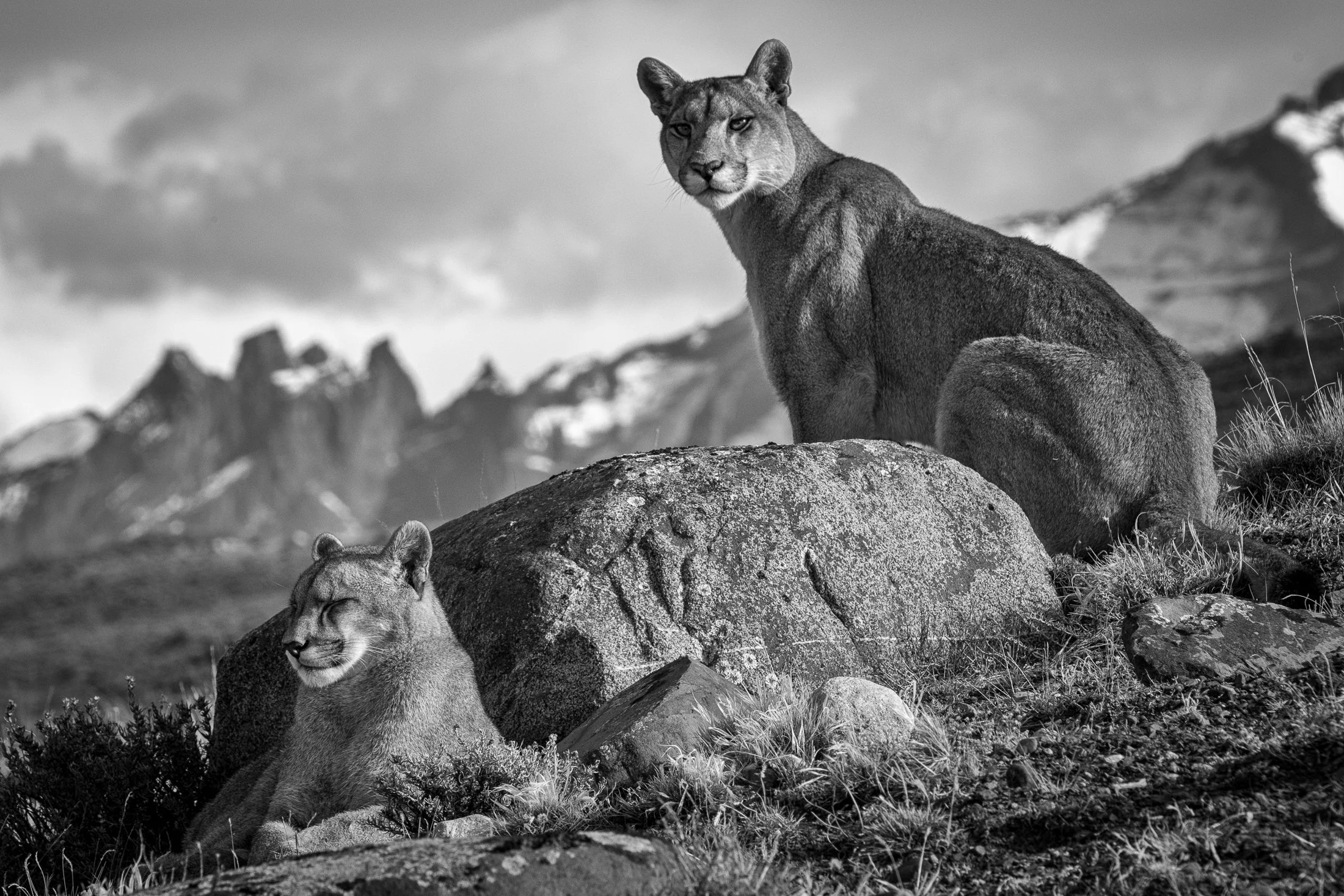 aw_DSF2832 Kopie_12.jpg