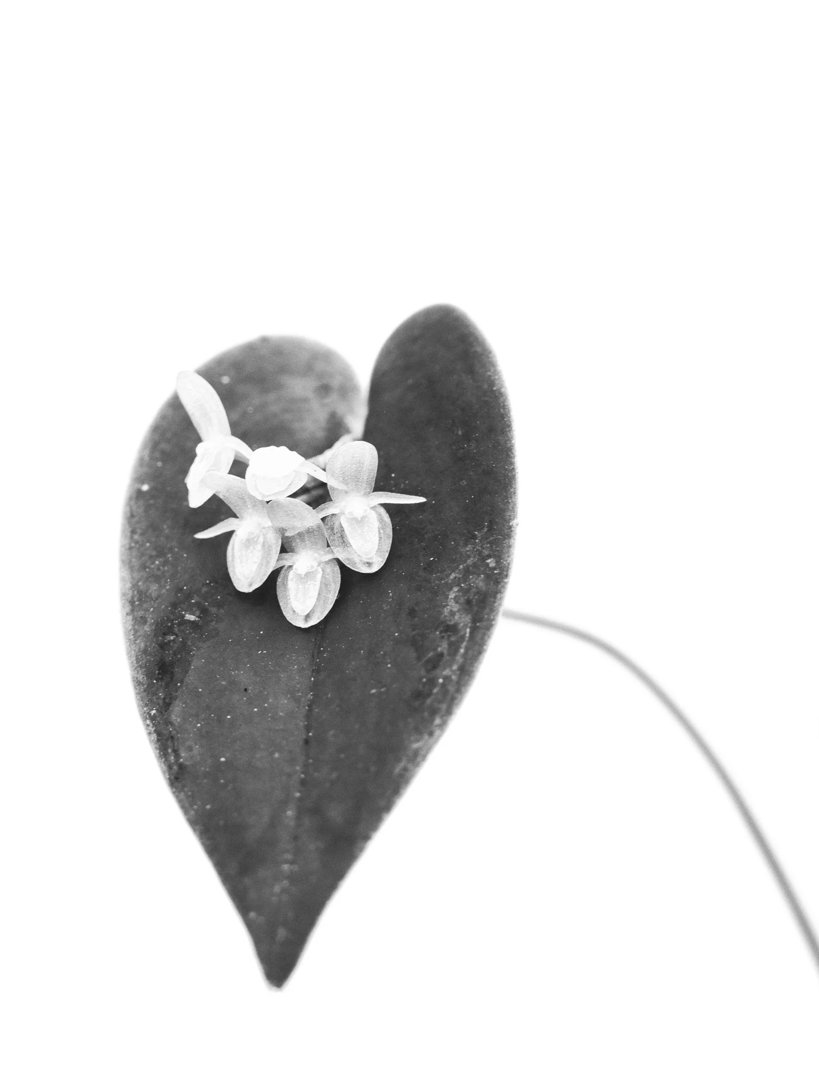 aw_DSF2704-2 Kopie.jpg