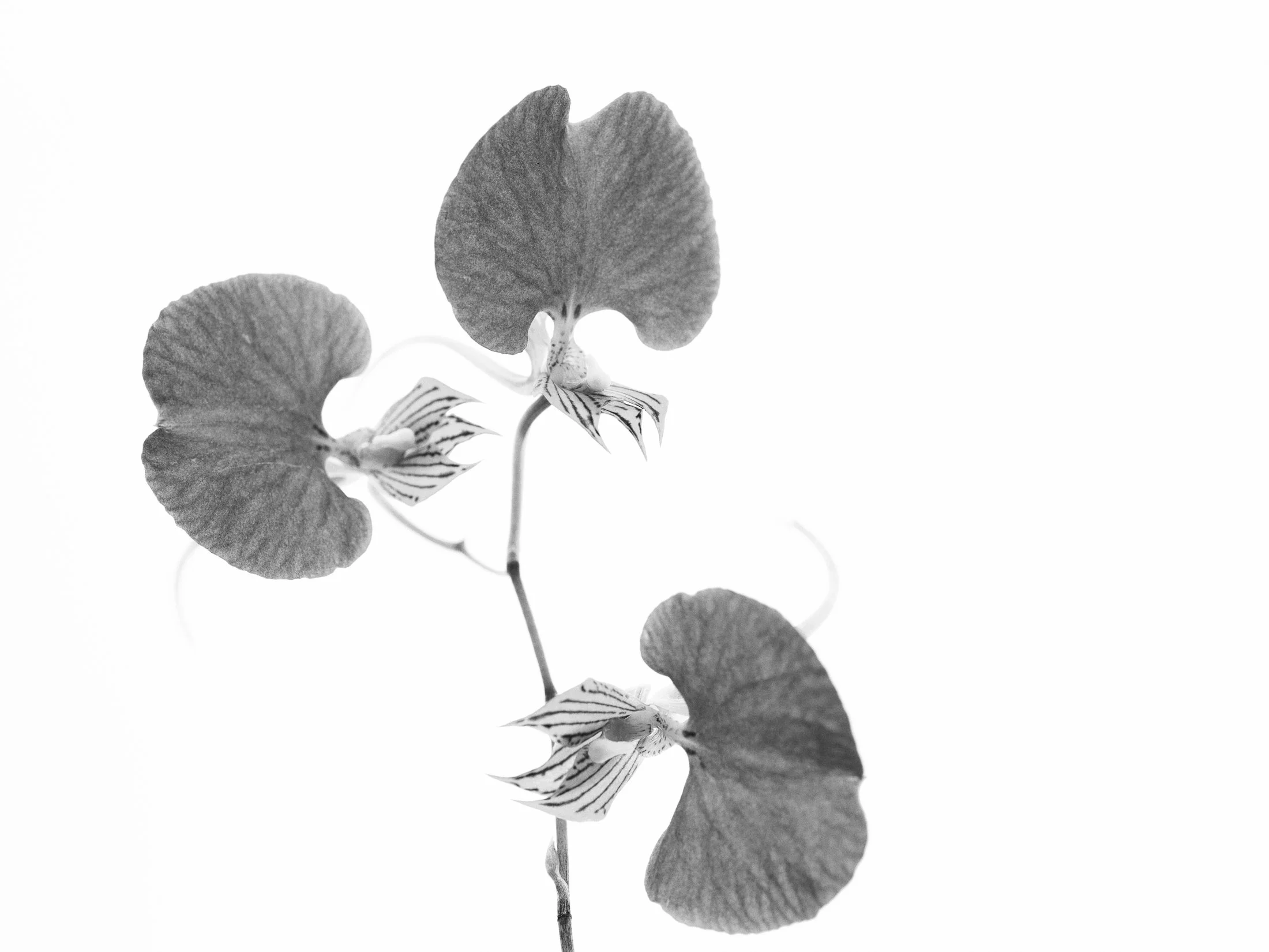 aw_DSF3436 Kopie.jpg