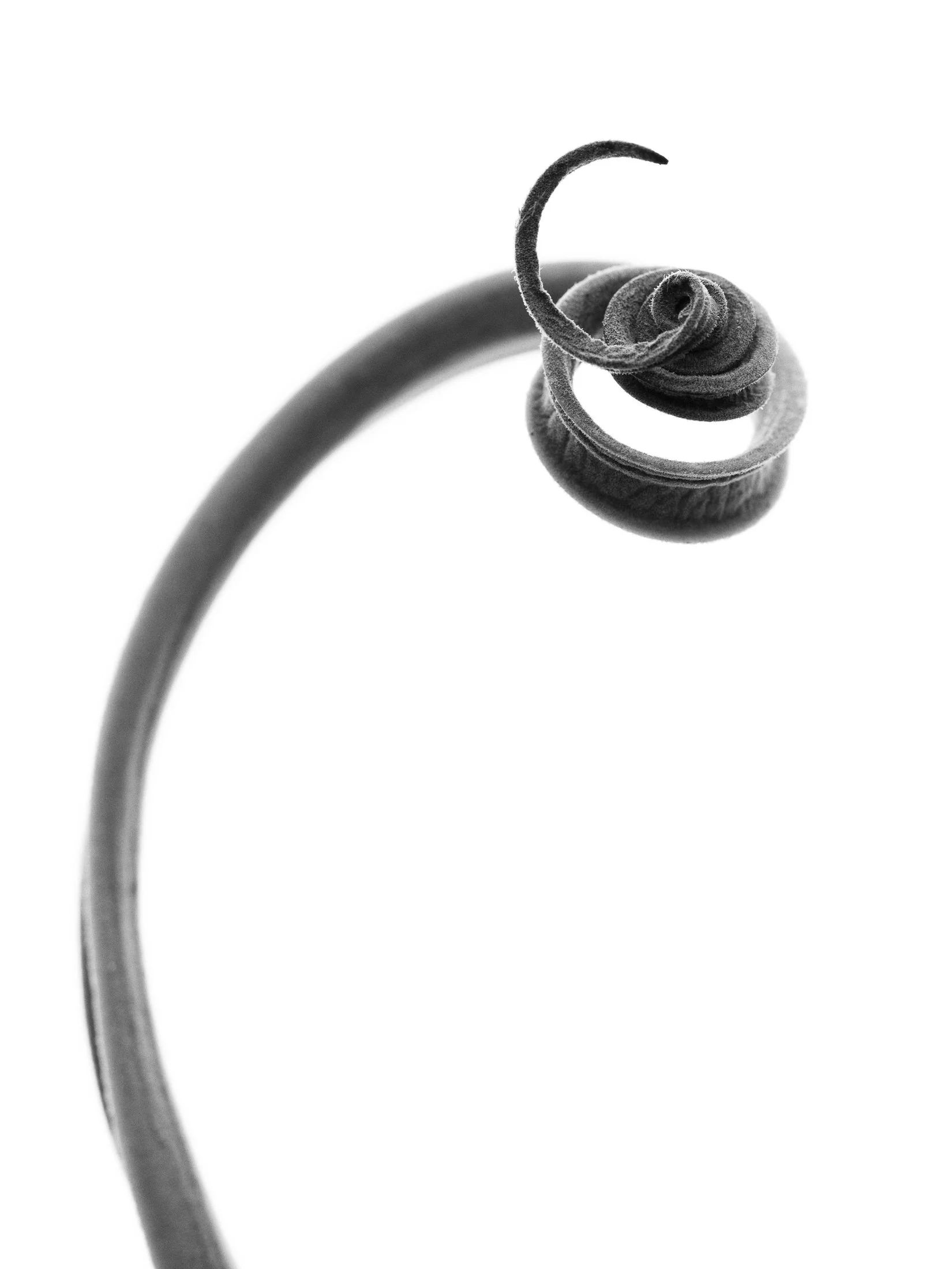 aw_DSF3197 Kopie4.jpg