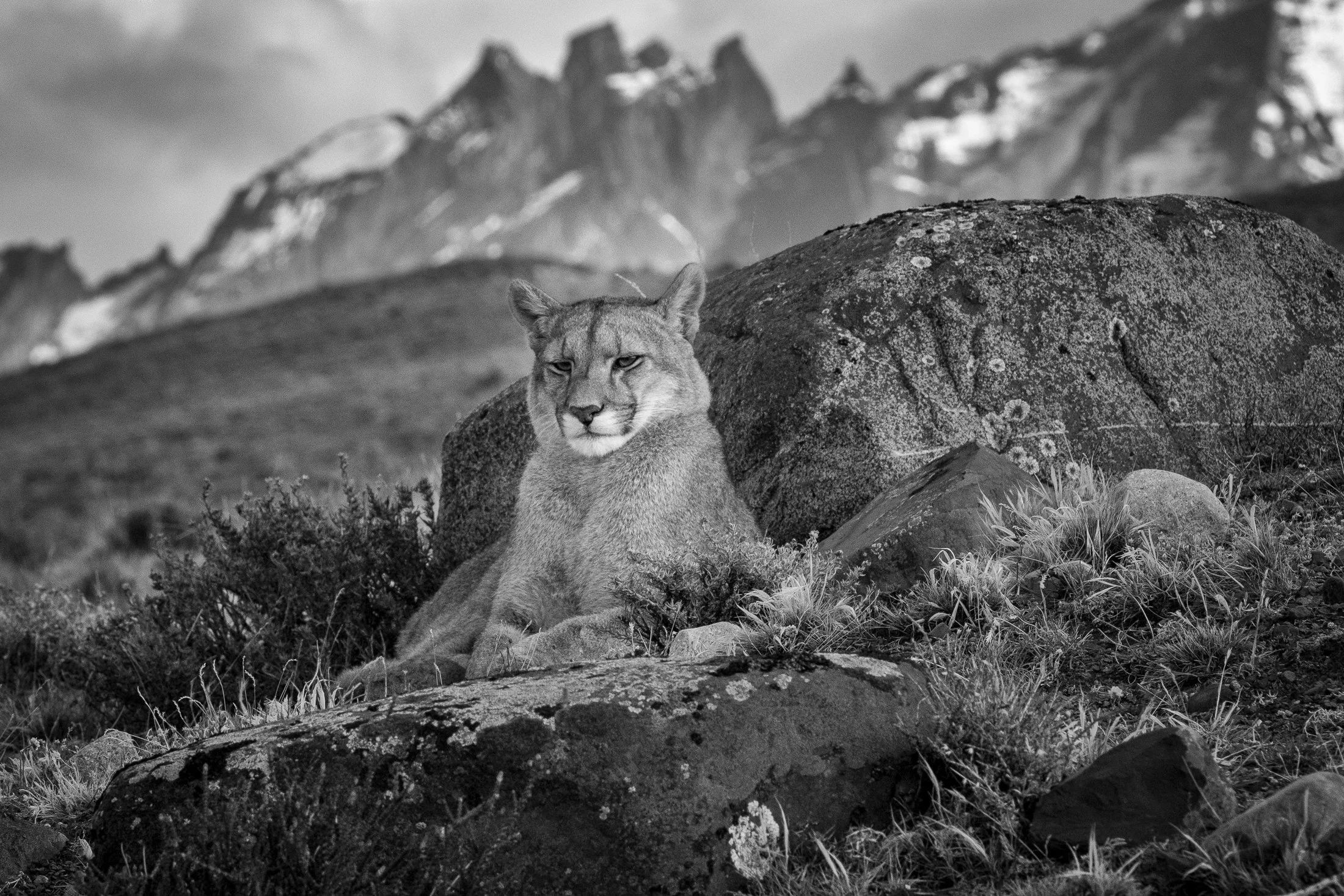 aw_DSF2825 Kopie_11.jpg