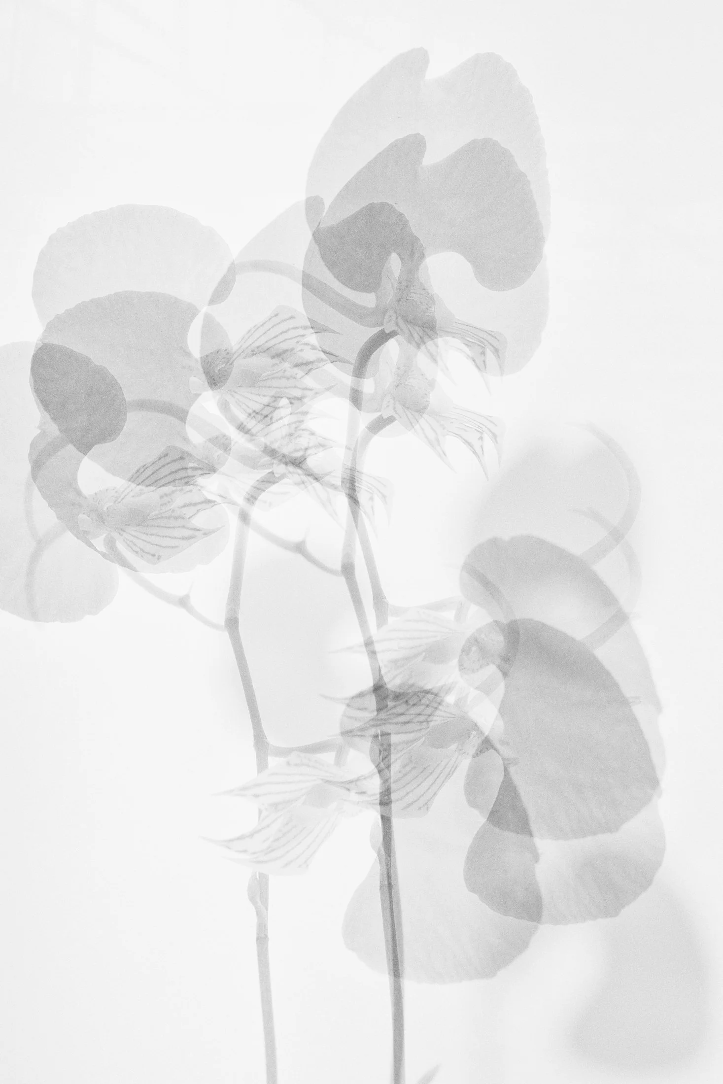 aw_DSF3320 Kopie.jpg