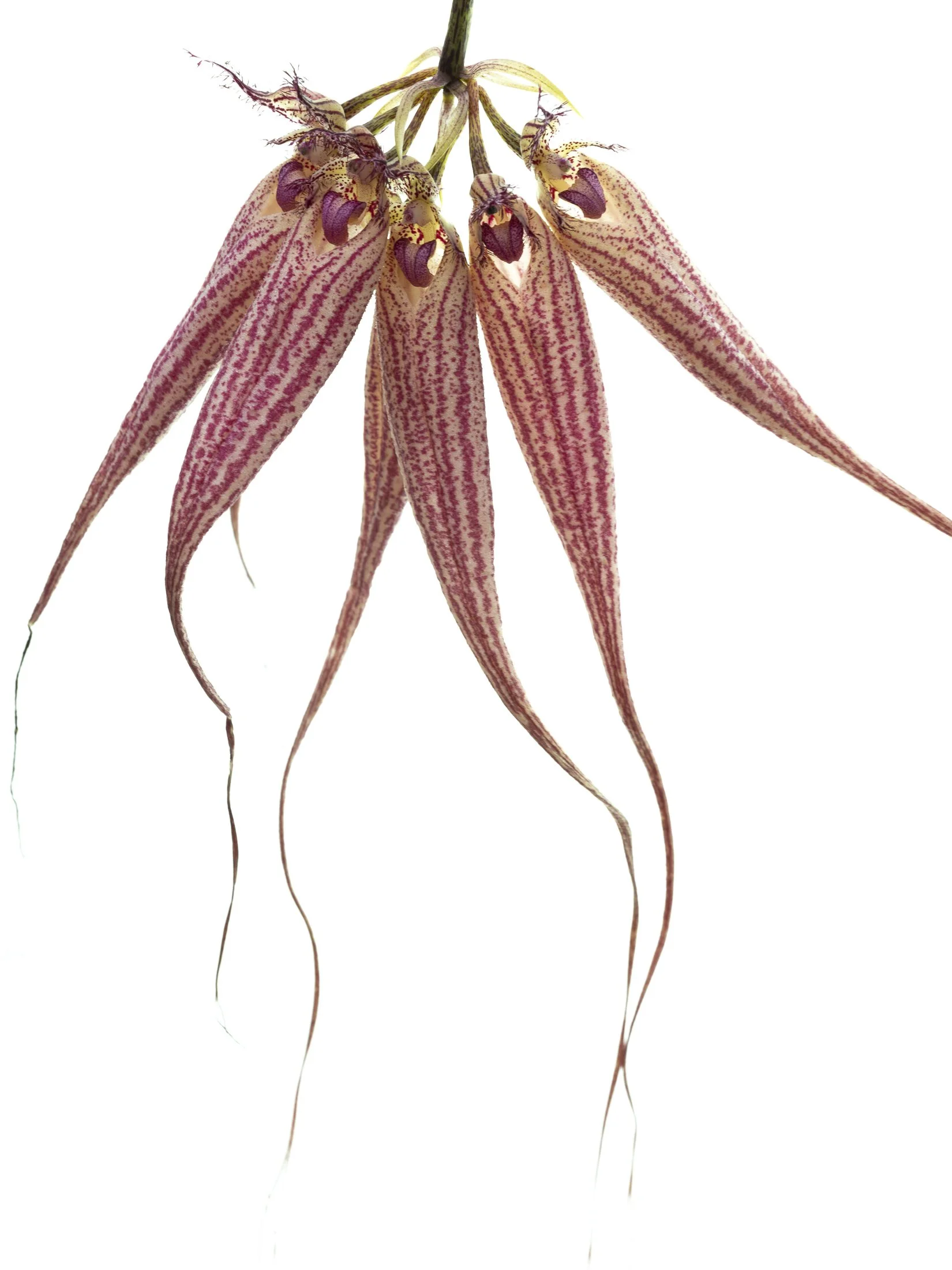 aw_DSF2282_1 Kopie.jpg