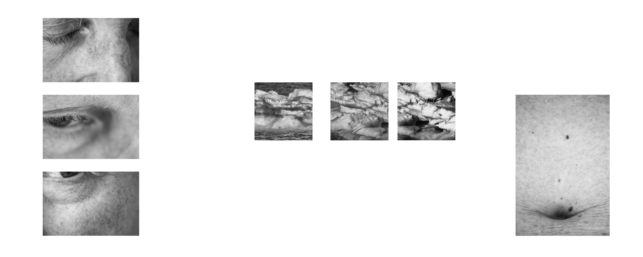 Fotohof Prints-1.png