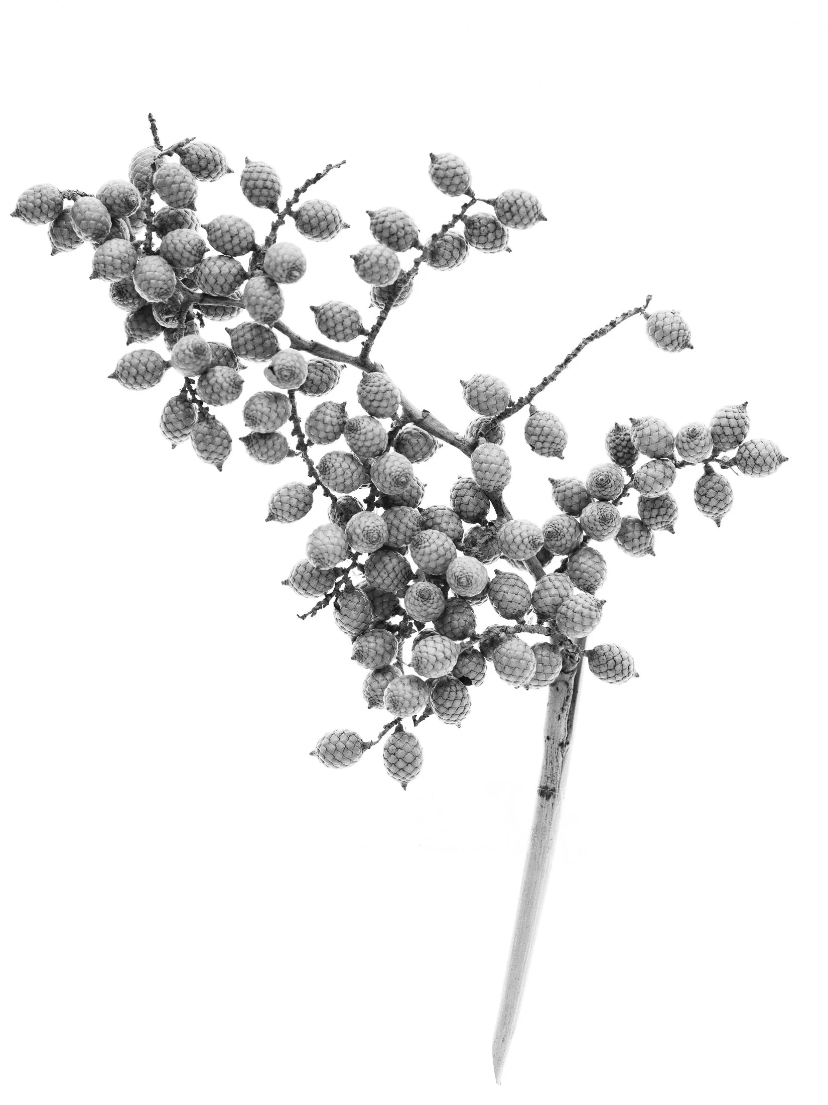 aw_DSF3171 Kopie5.jpg