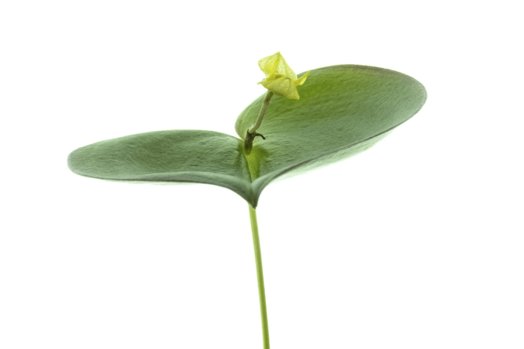 aw_DSF4290 Kopie.jpg