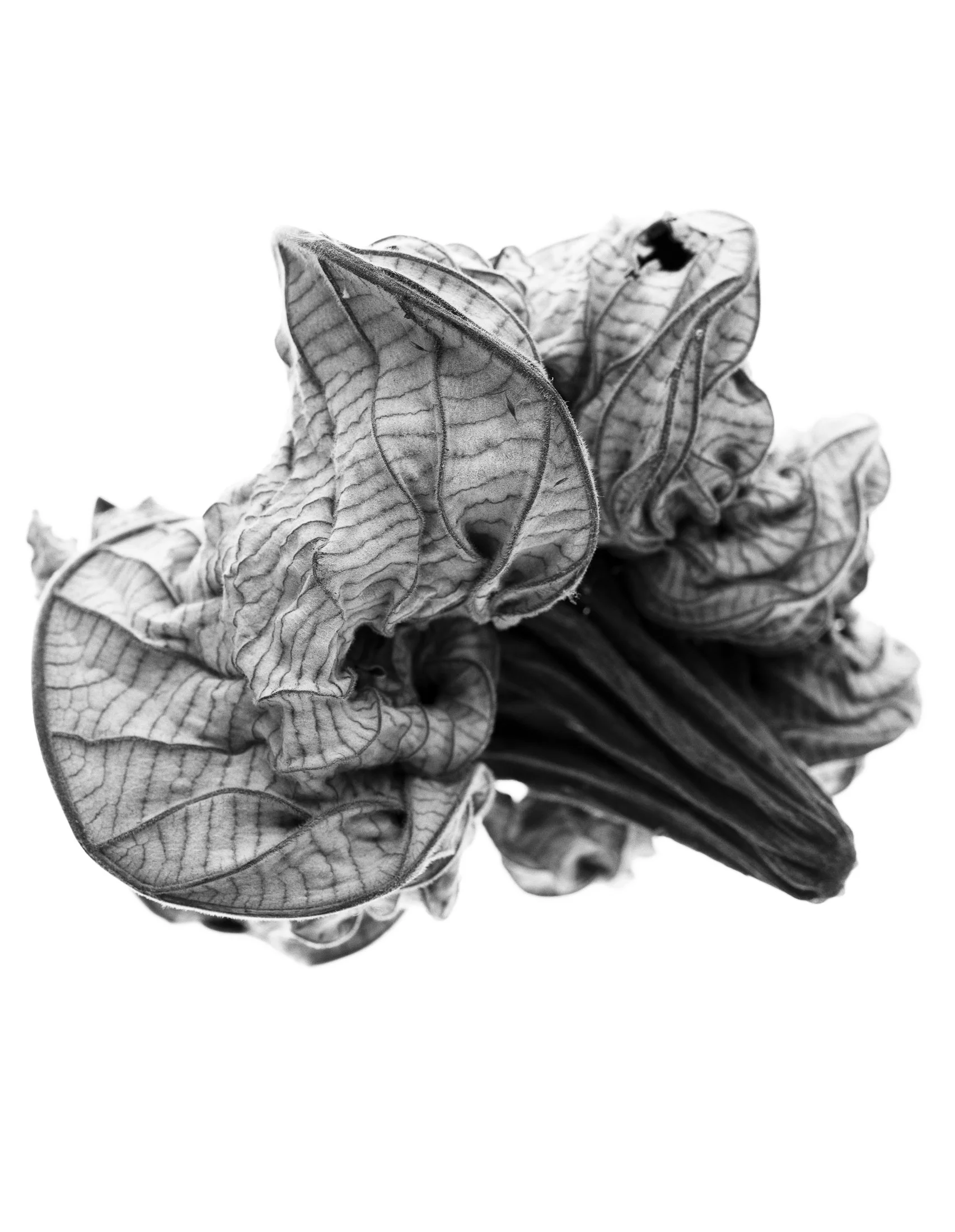 aw_DSF3185 Kopie10.jpg