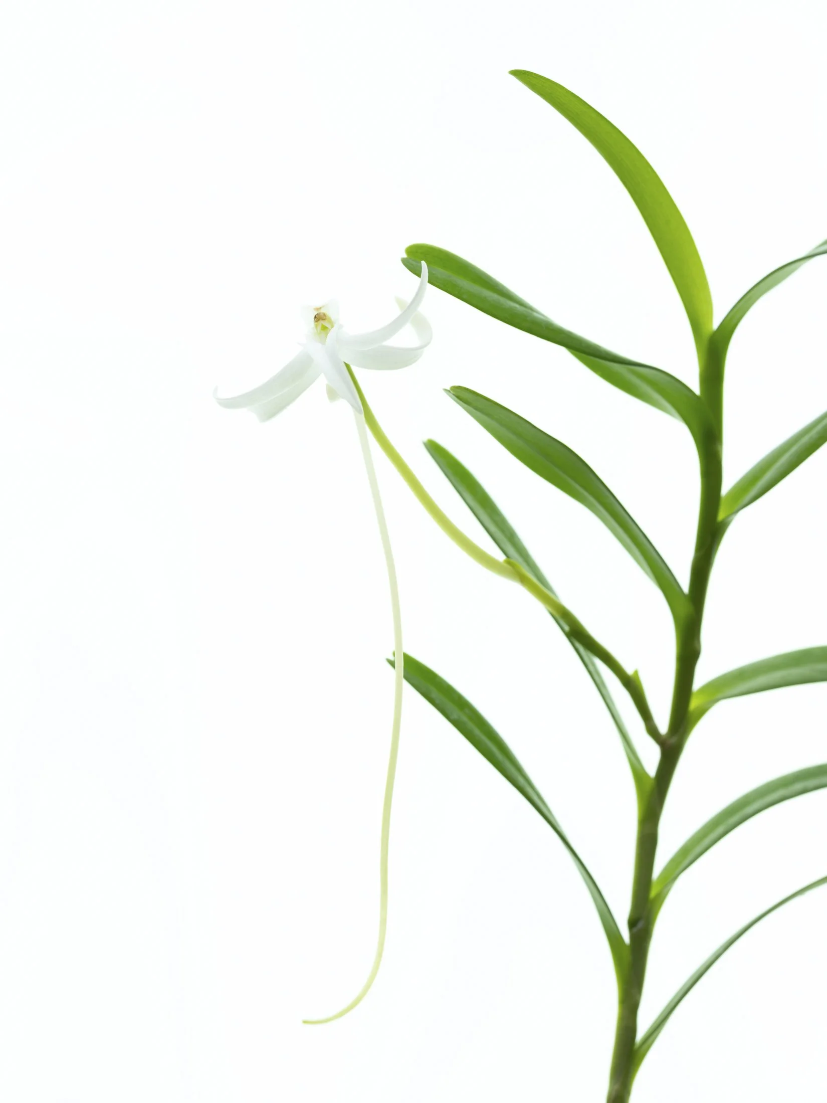 aw_DSF3462 Kopie.jpg