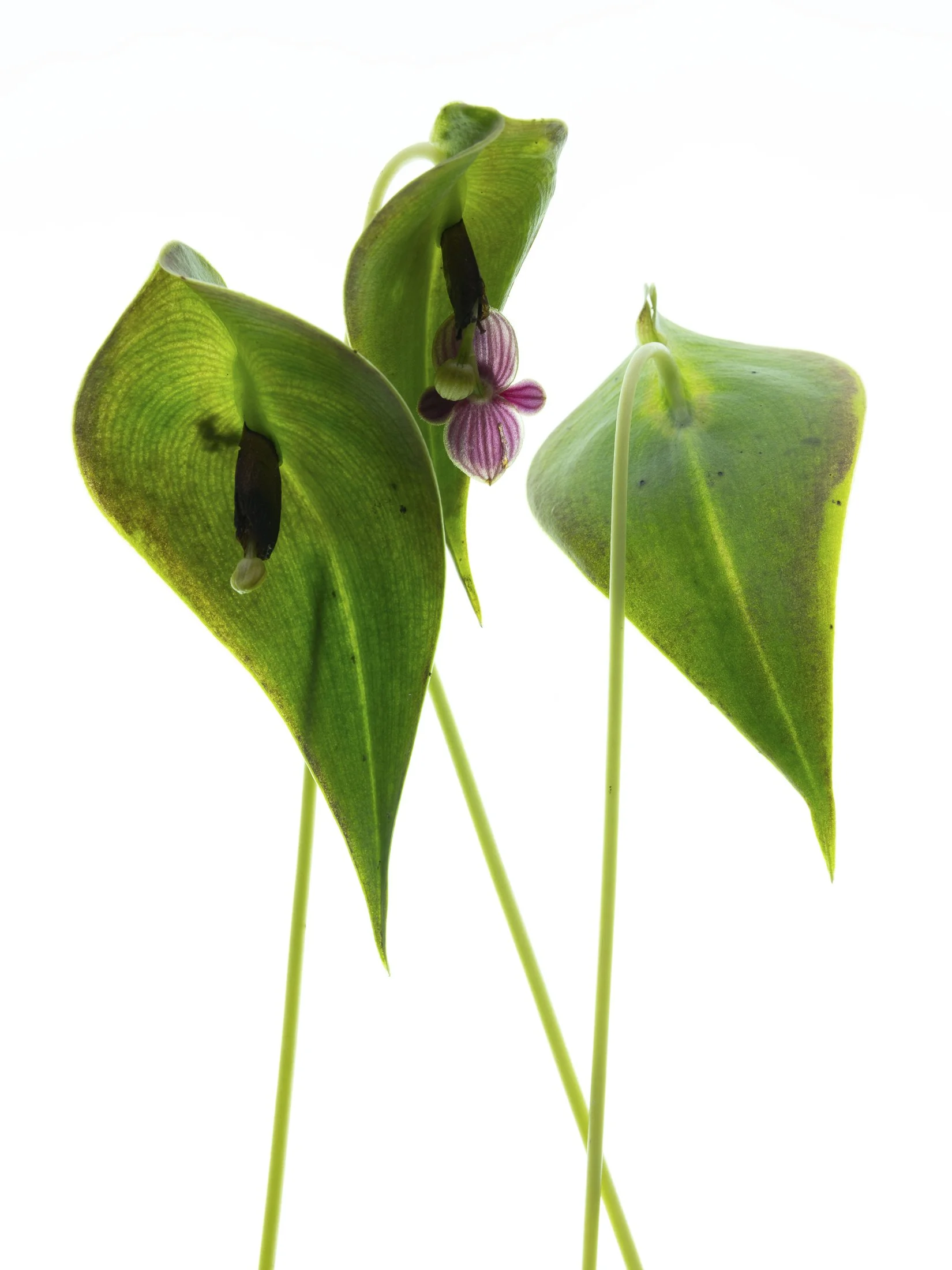 aw_DSF2306 Kopie.jpg