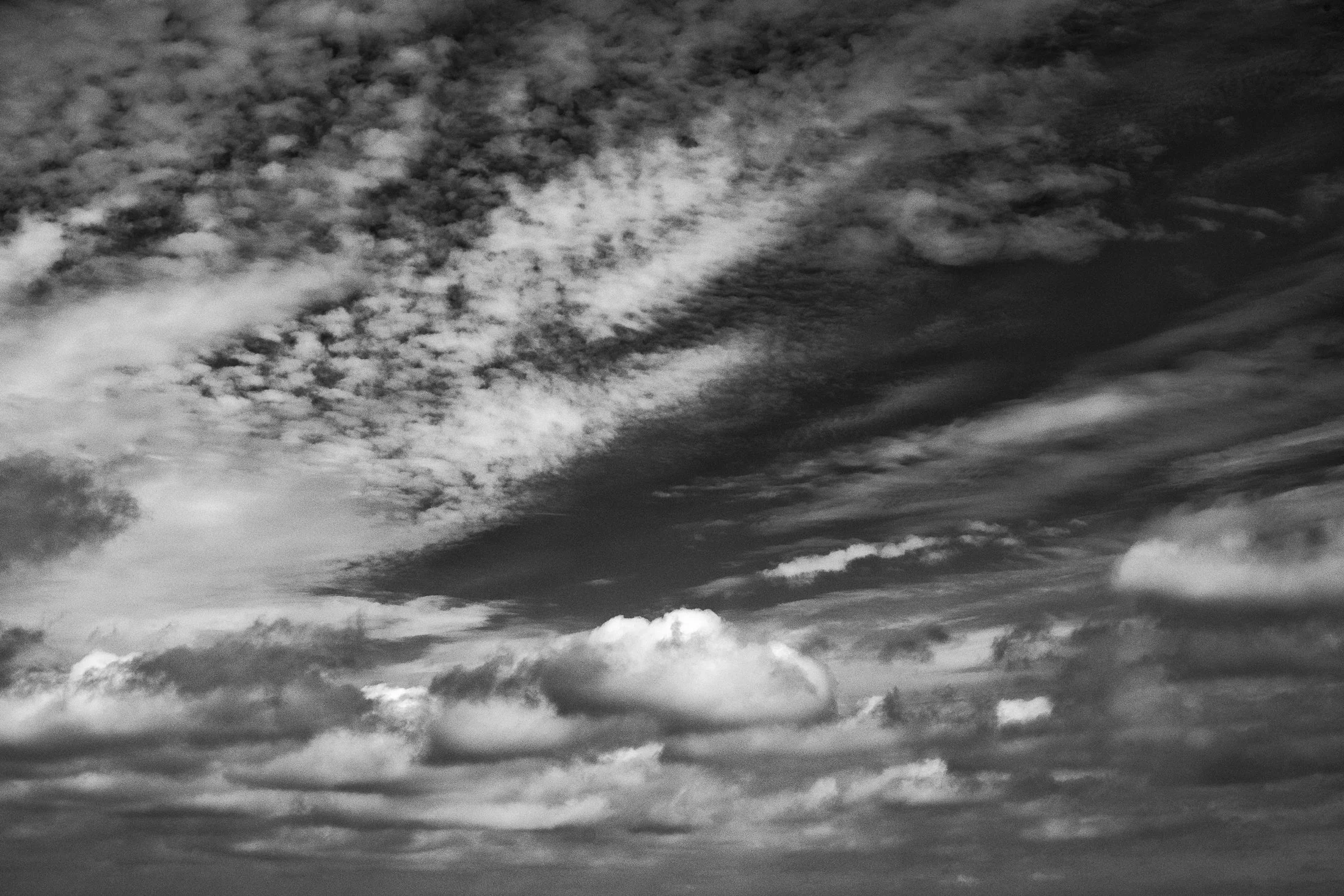 amelie_walter_dsf4733 _berlin5web.jpg