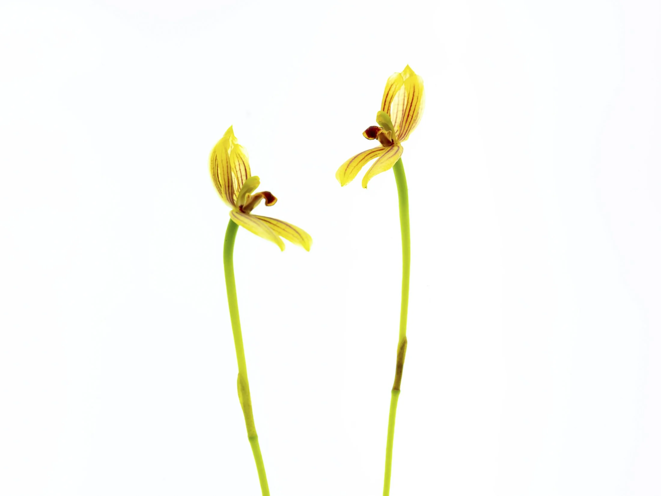 aw_DSF3442 Kopie.jpg