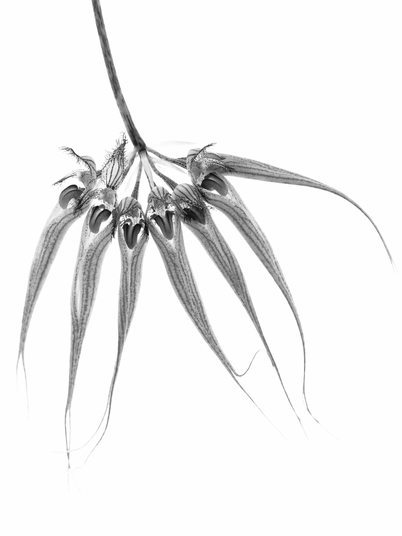 aw_DSF2273 Kopie.jpg