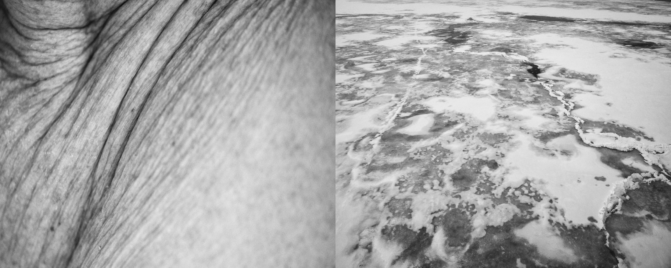 Fotohof Prints-6.png