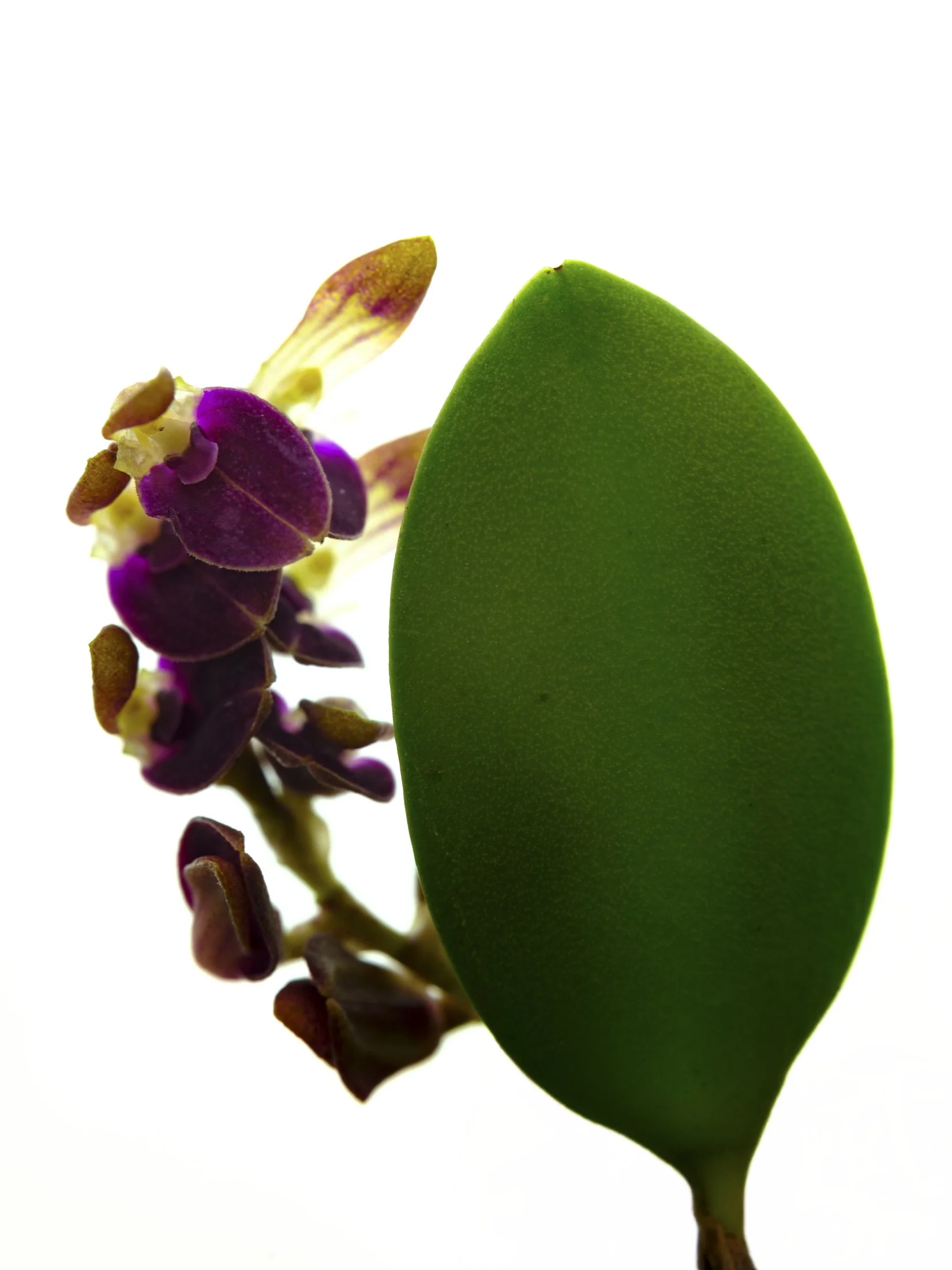 aw_DSF2905 Kopie.jpg