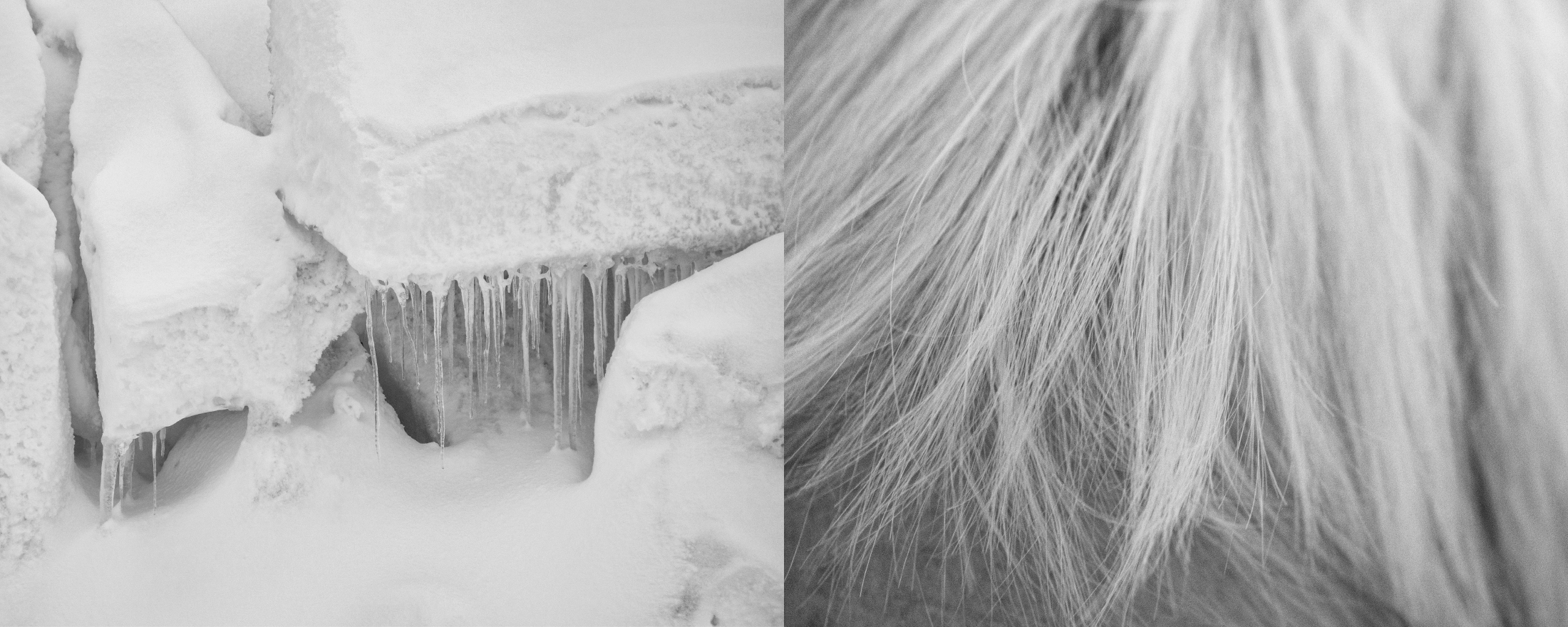 Fotohof Prints-2.png