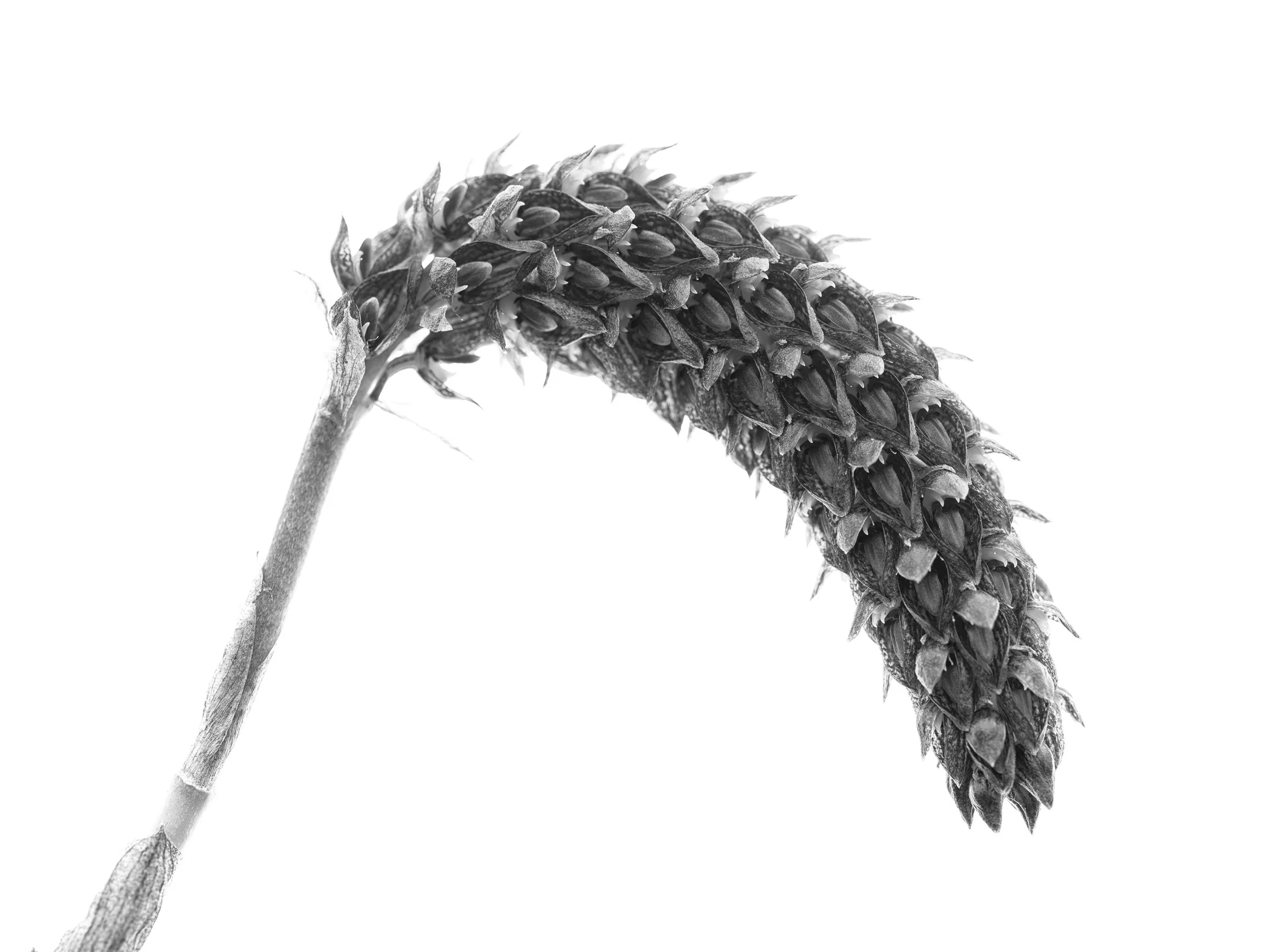 aw_DSF2931 Kopie.jpg