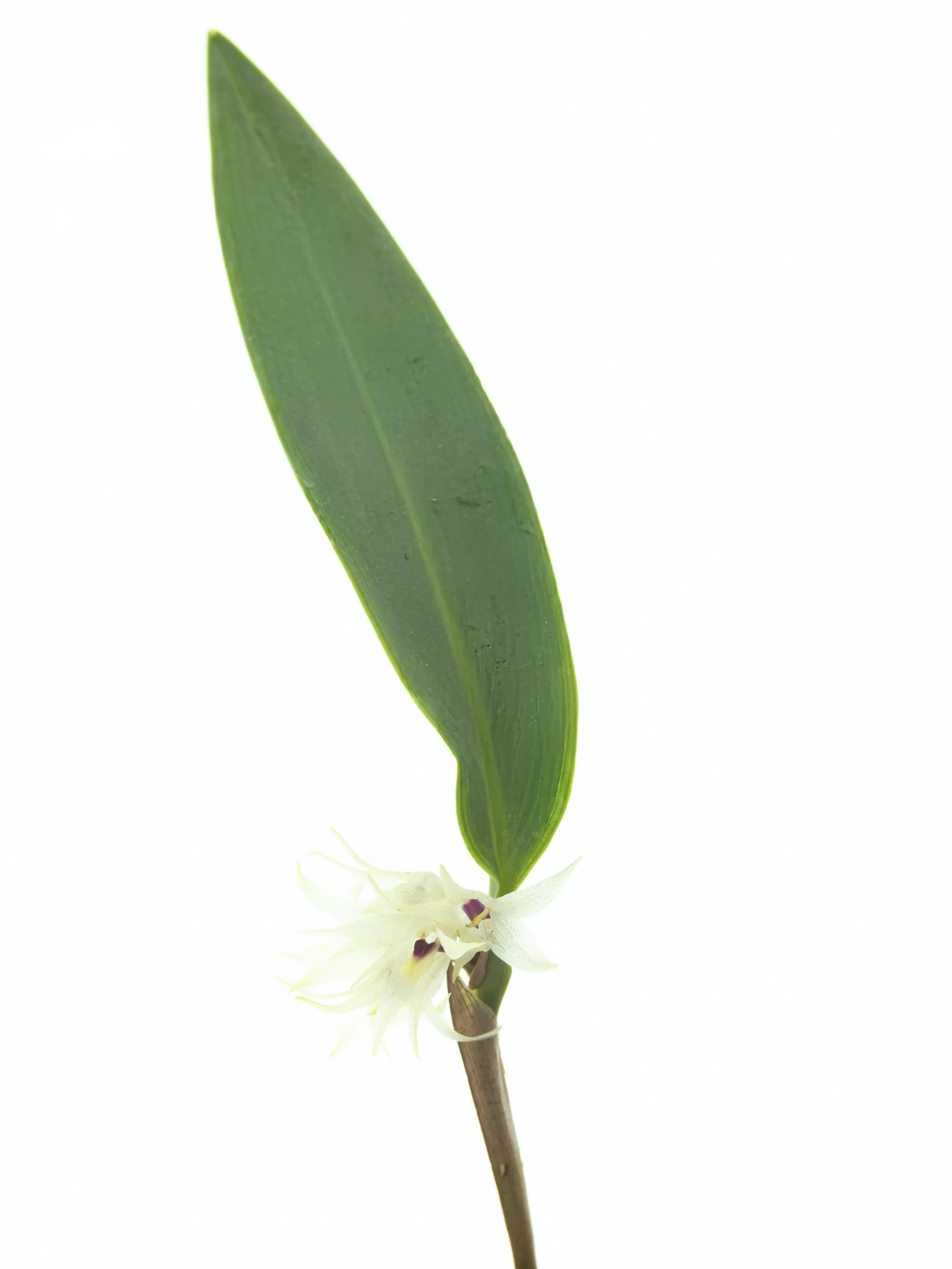 aw_DSF2891 Kopie.jpg