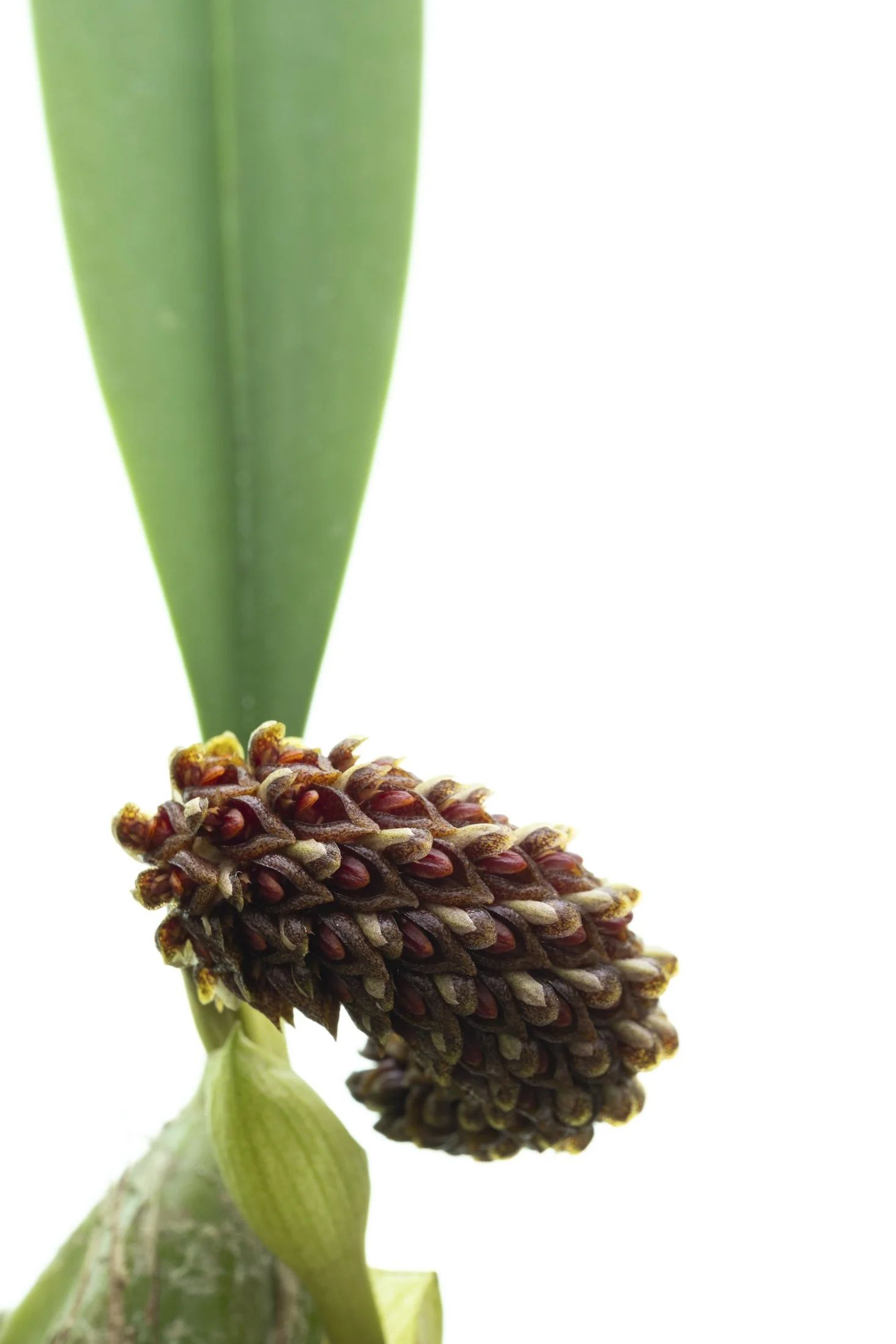 aw_DSF3306 Kopie.jpg