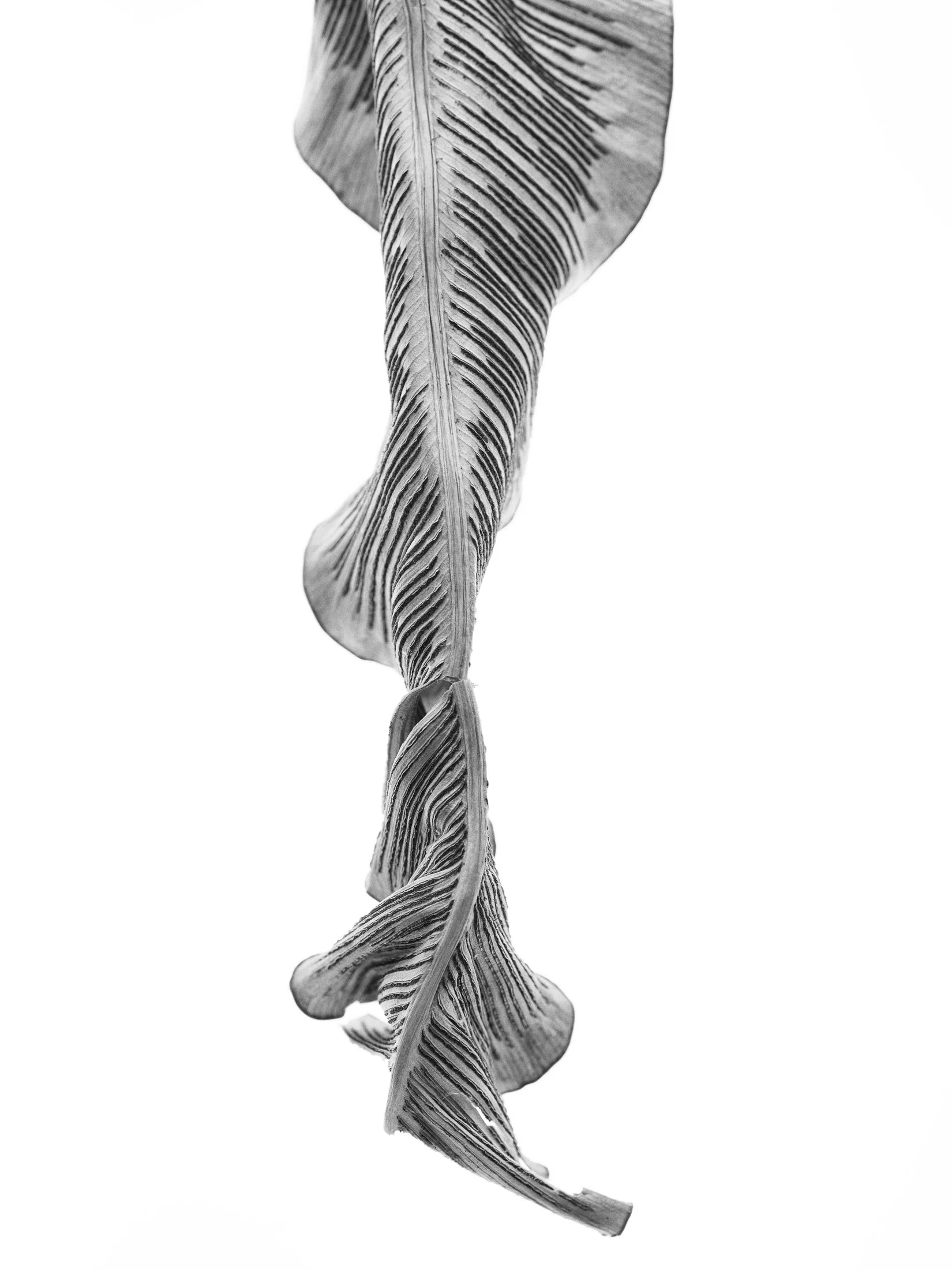 aw_DSF3157 Kopie8.jpg