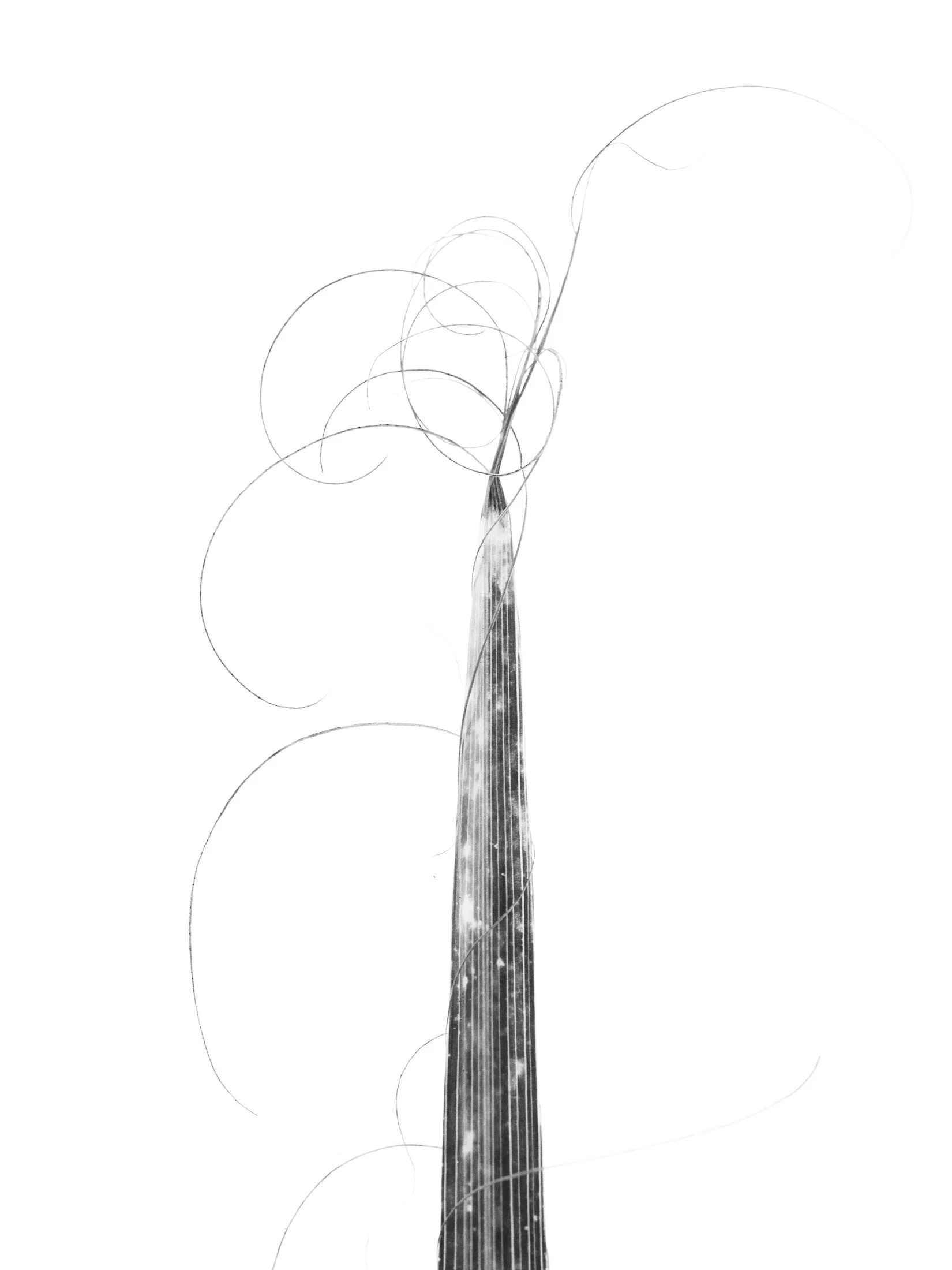 aw_DSF3190 Kopie2.jpg