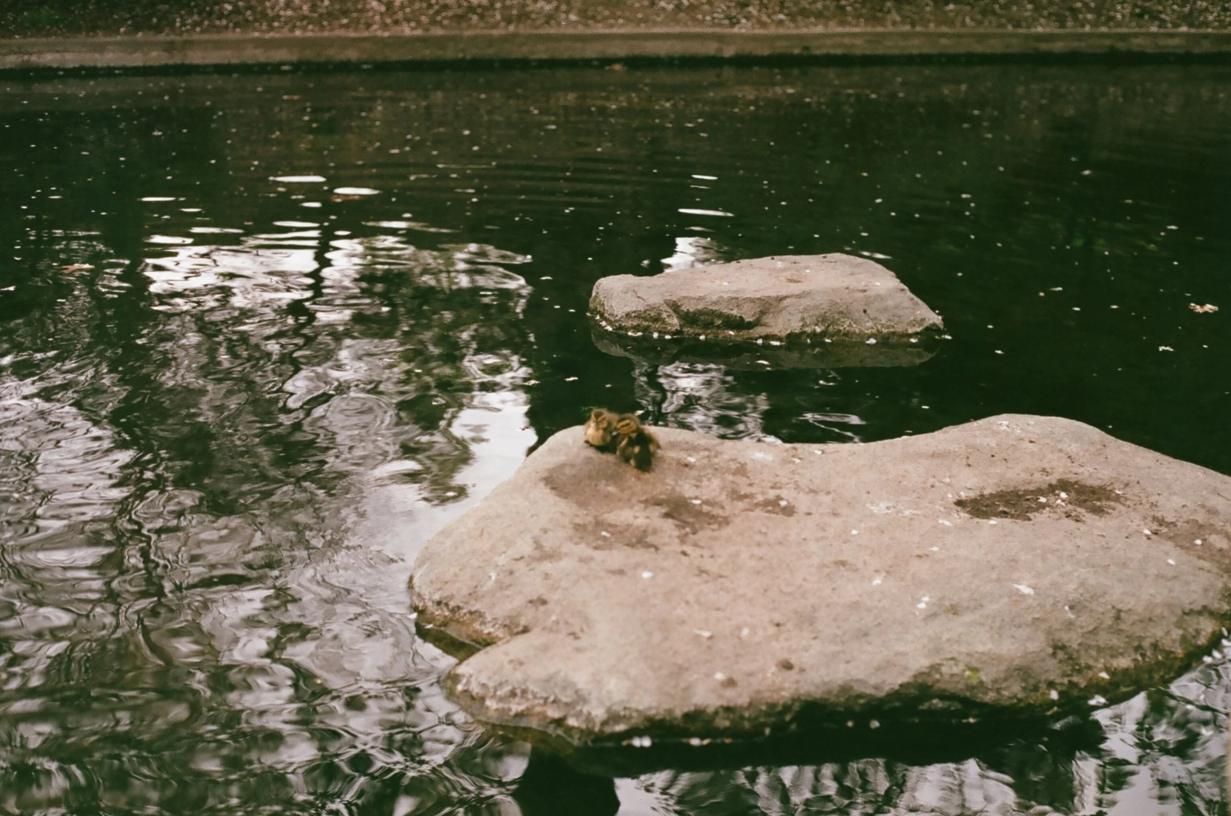 52110021.jpg