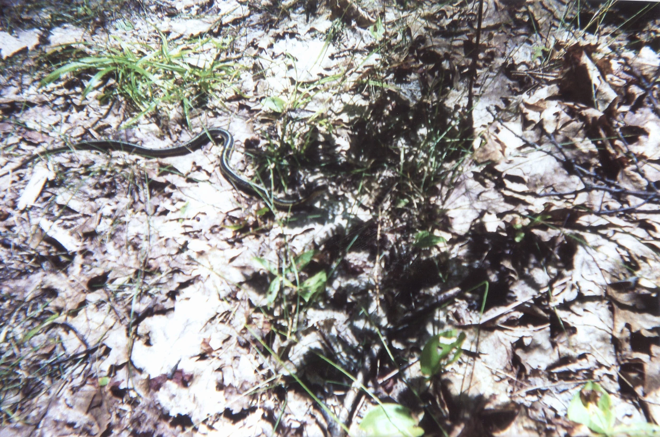 image23.JPEG