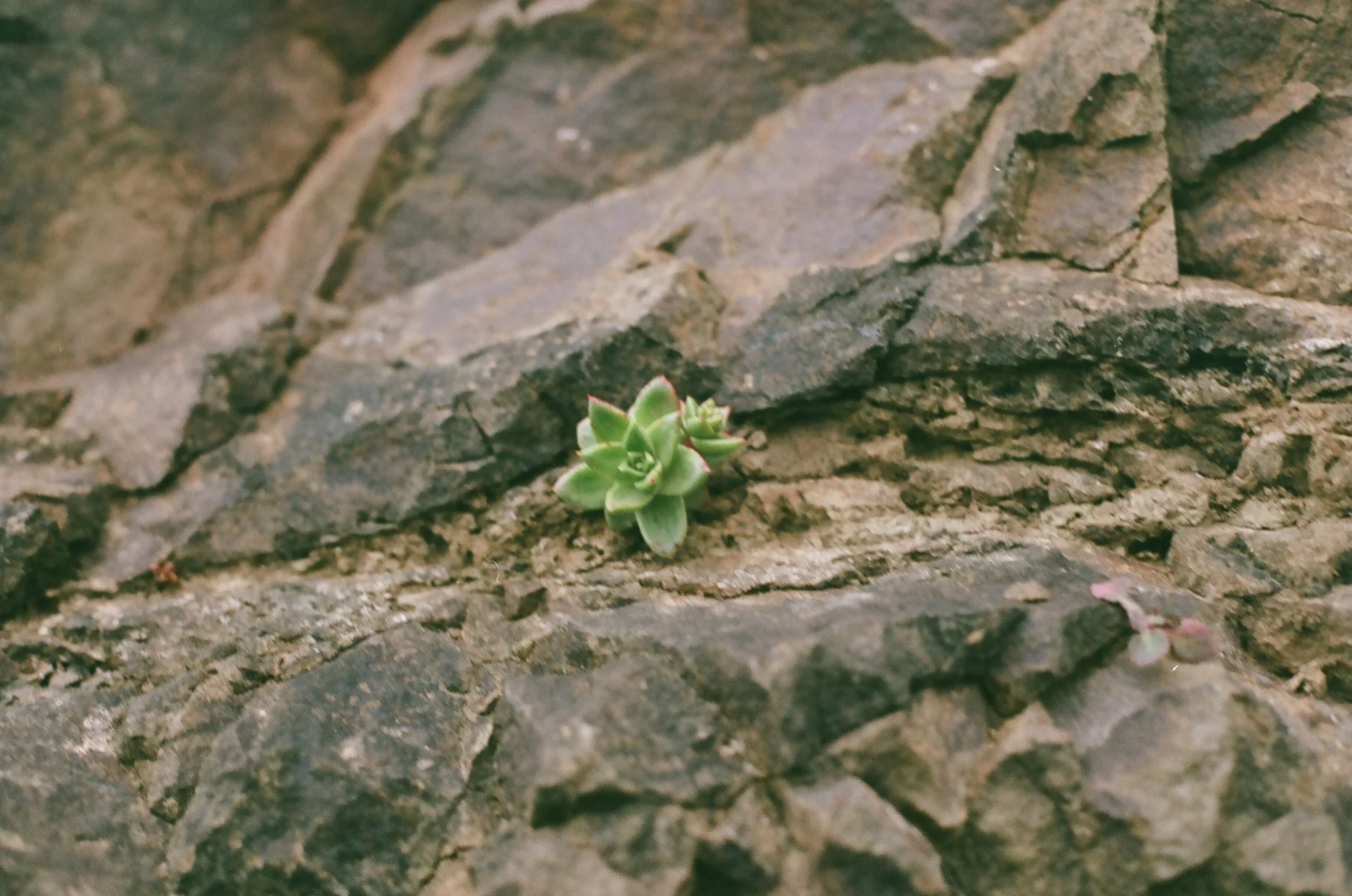 0009_8.jpg
