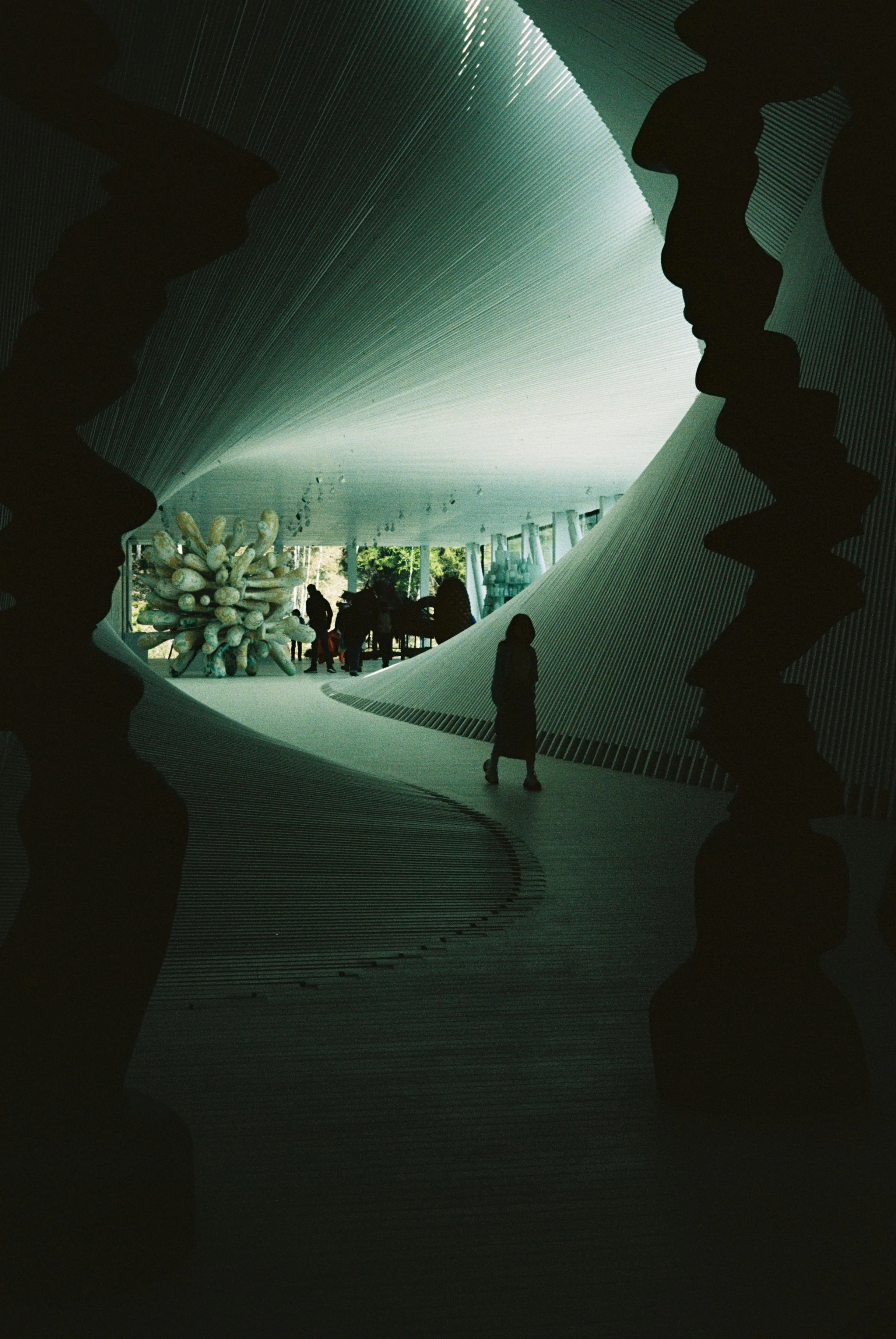 Ich lebe in einer Illusion und erkenne sie Tag für Tag mehr.