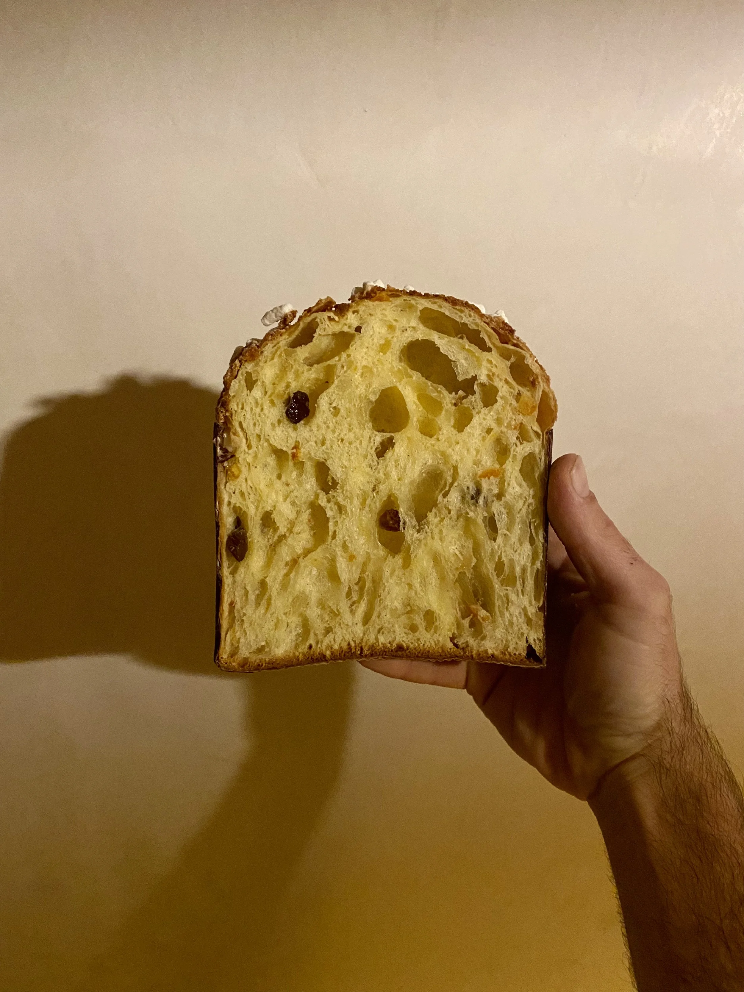 Persona sosteniendo una rebanada de pan con pasas sobre un fondo beige.