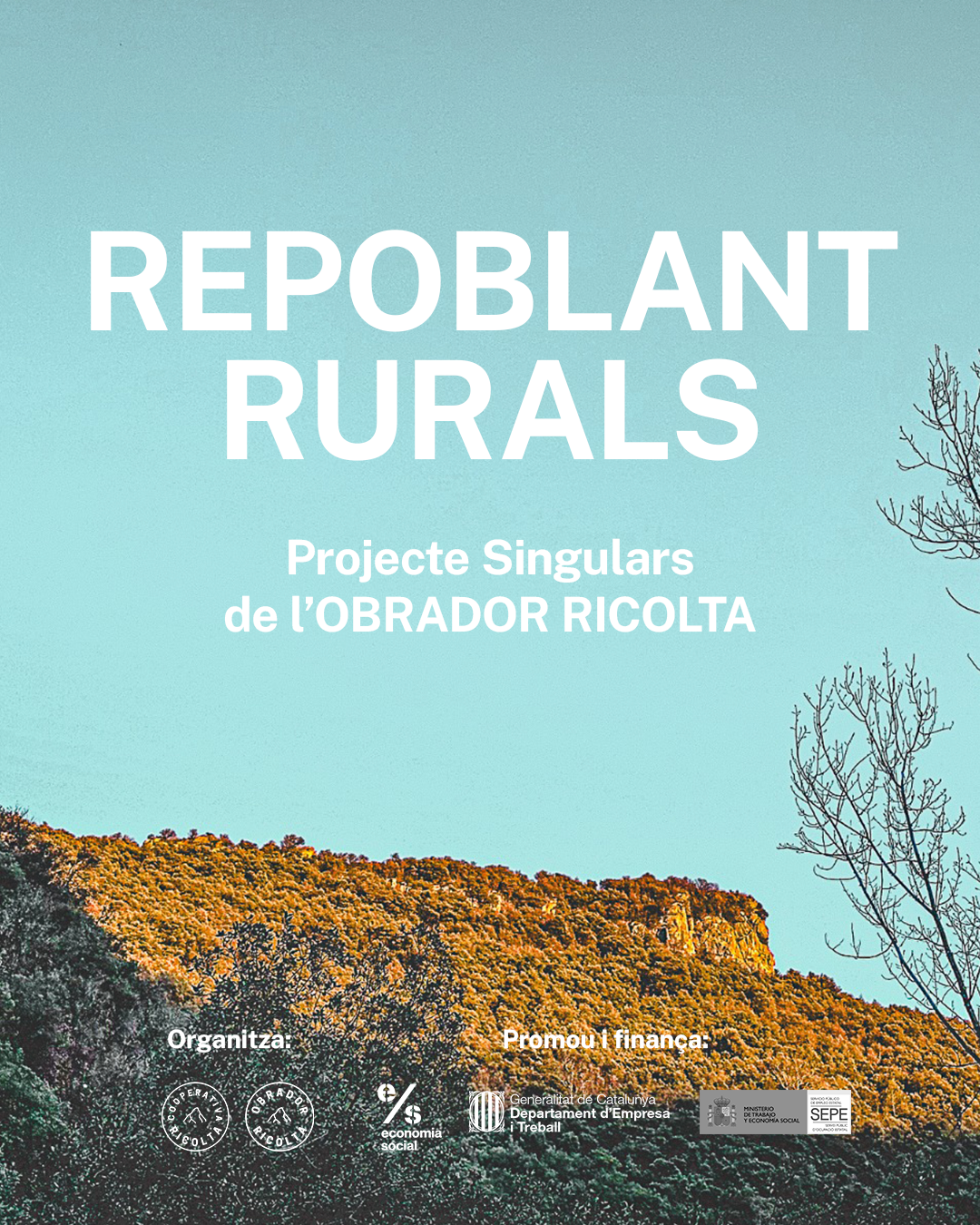 Cartel con fondo de montañas y árboles, que dice 'Repolant Rurals. Projecte Singulars de l'Obrador Ricolta'.