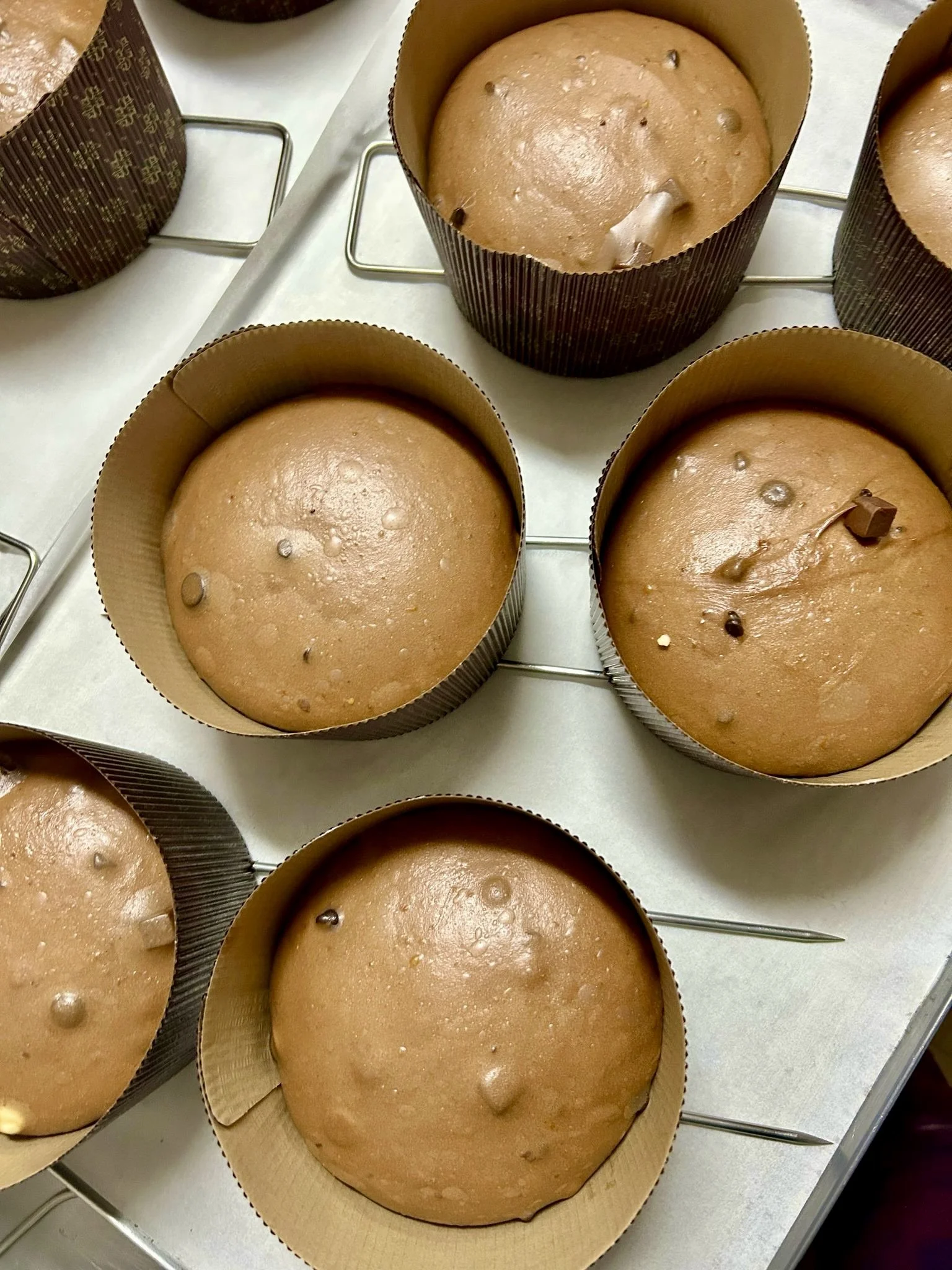 Pasteles de chocolate en moldes redondos, listos para enfriar.
