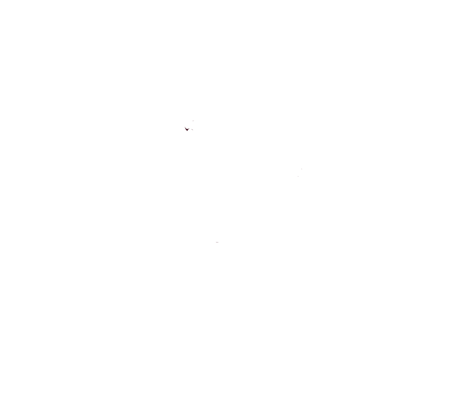 Precious 3 Birth Services | Denver Birth Photographer