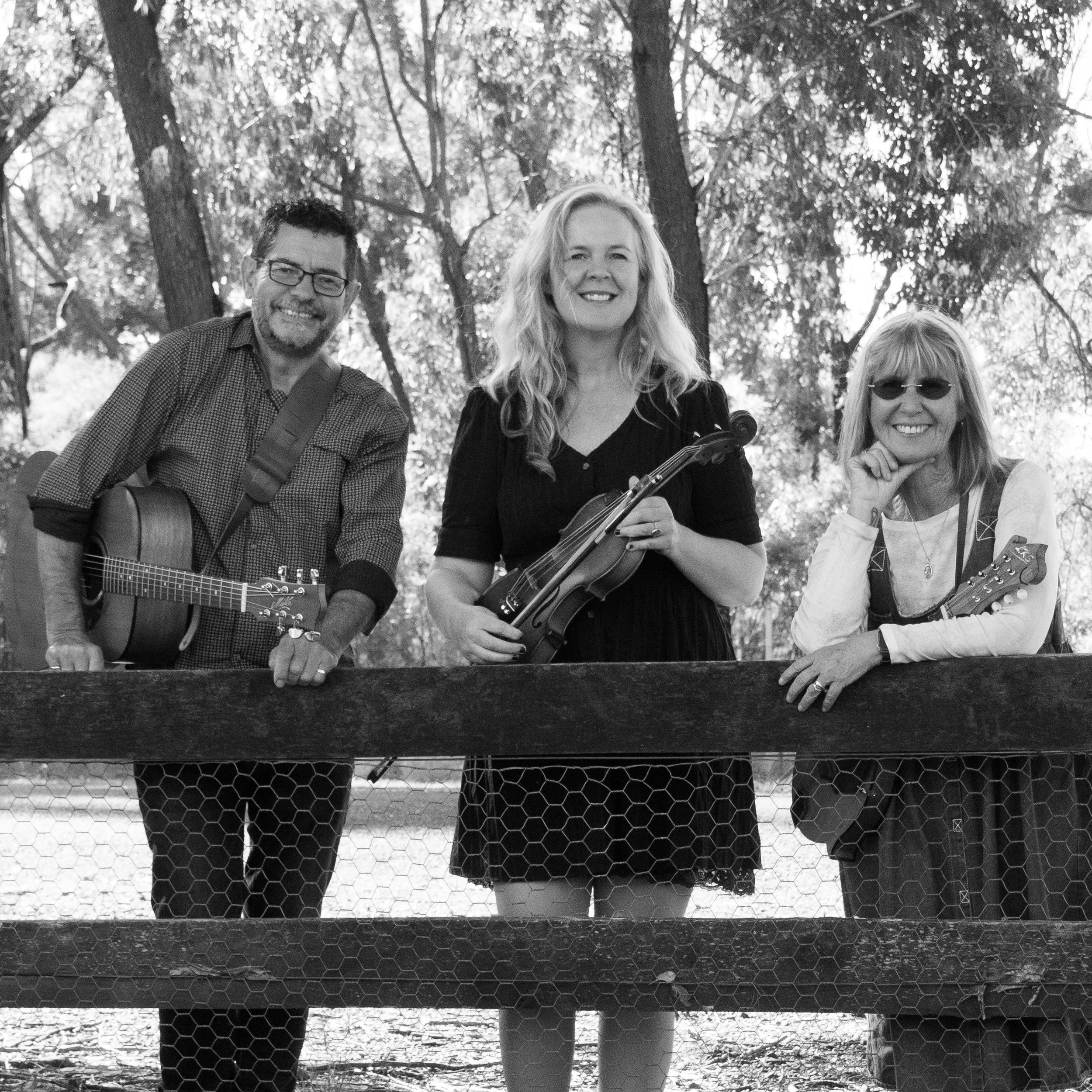 Stringline Folk Band