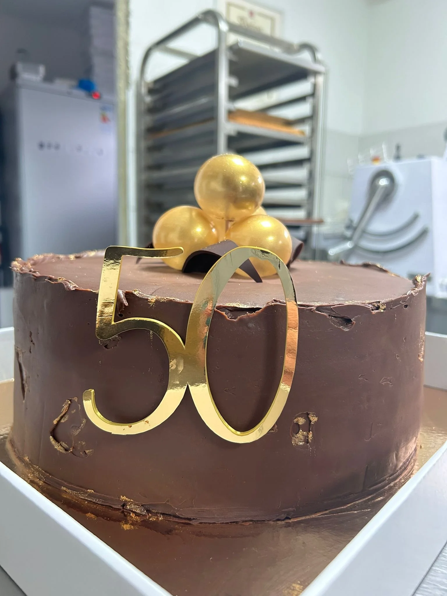 WhatsApp Image 2026-04-15 at 12.01.40 (1).jpeg